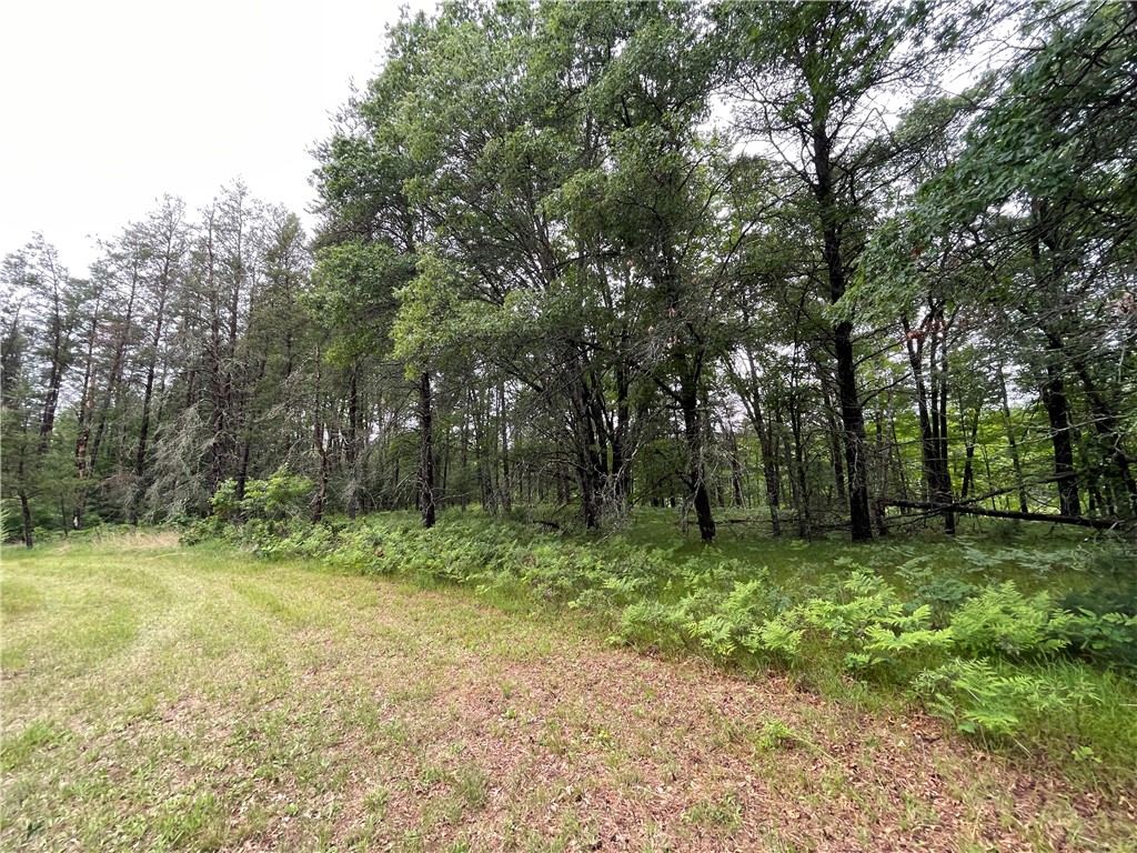 0 Loon Lake Road Spooner, WI 54801 - Photo 19 of 28
