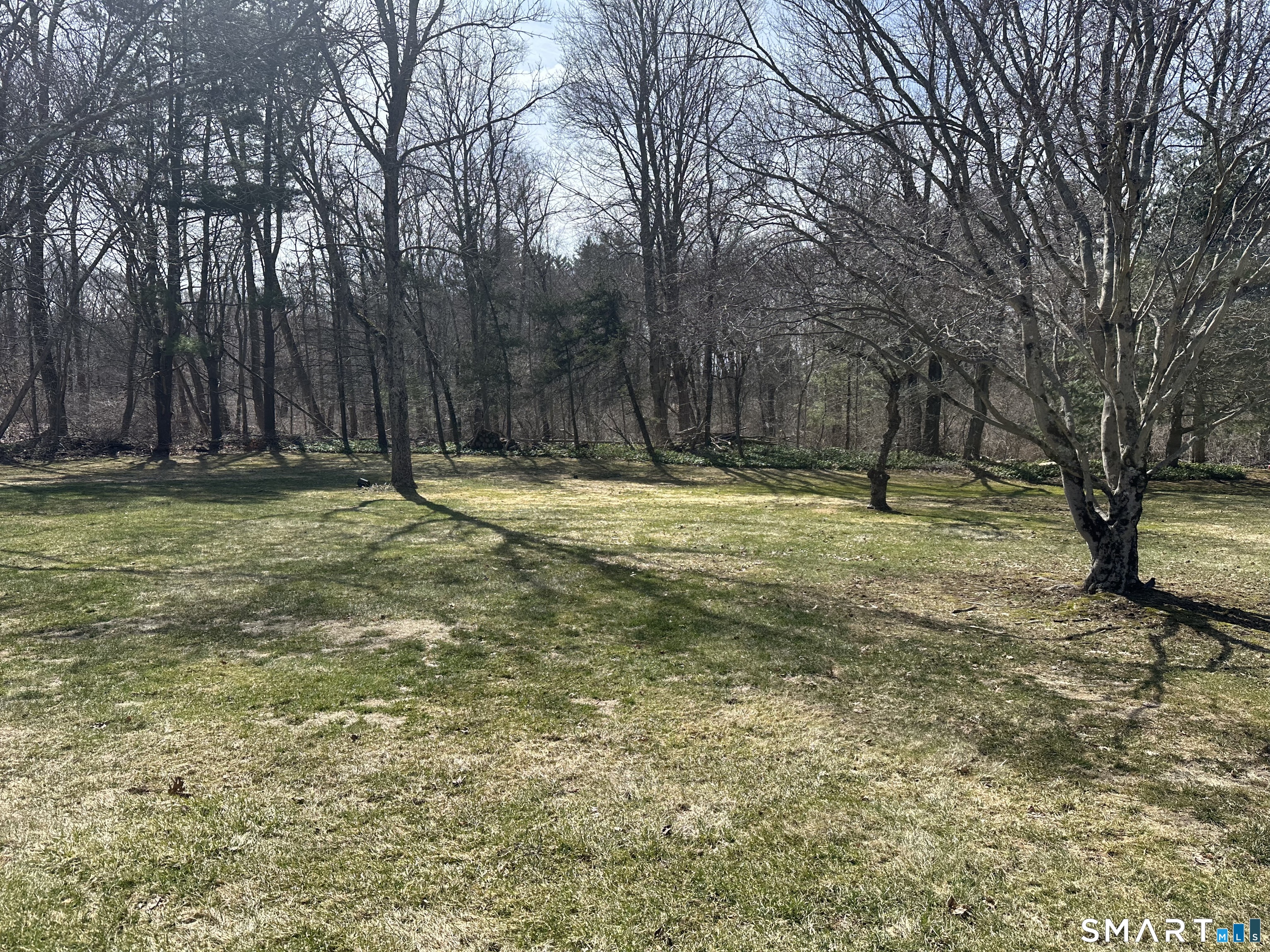 85 Rolling Ridge Road Hamden, CT 06518 - Photo 12 of 13