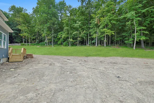 a view of backyard with green space