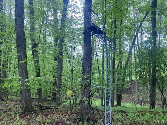 $169,900 | 5749 Comfort Hollow Road, Scio, NY 14880