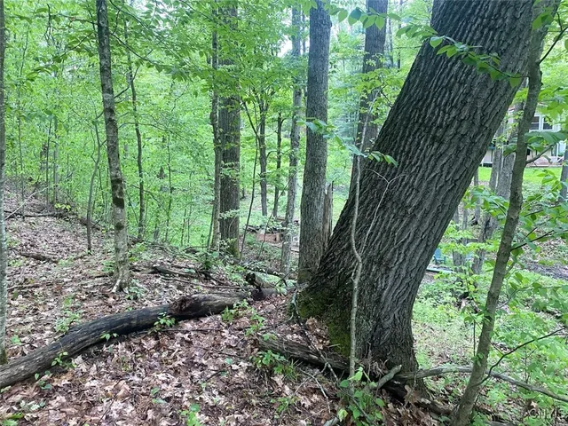 $169,900 | 5749 Comfort Hollow Road, Scio, NY 14880