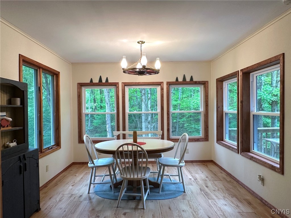 5749 Comfort Hollow Road Scio, NY 14880 - Photo 7 of 29