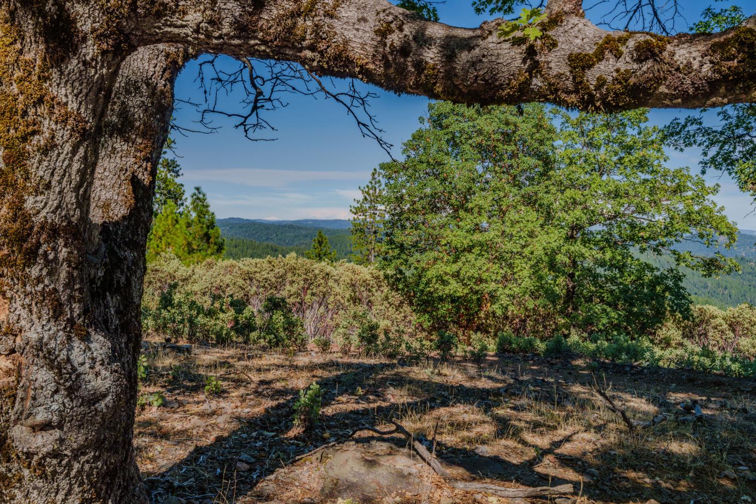 0 Silver Point Pioneer, CA 95666 - Photo 10 of 26