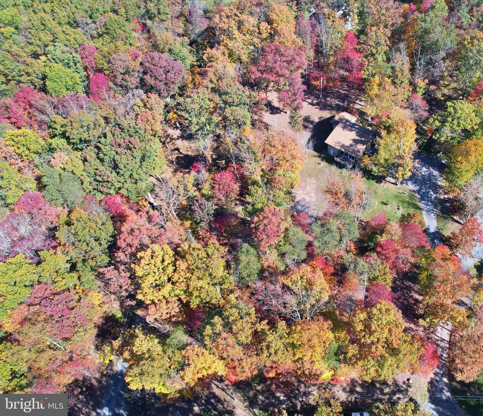 167 Holly Ridge Road Mount Jackson, VA 22842 - Photo 11 of 57