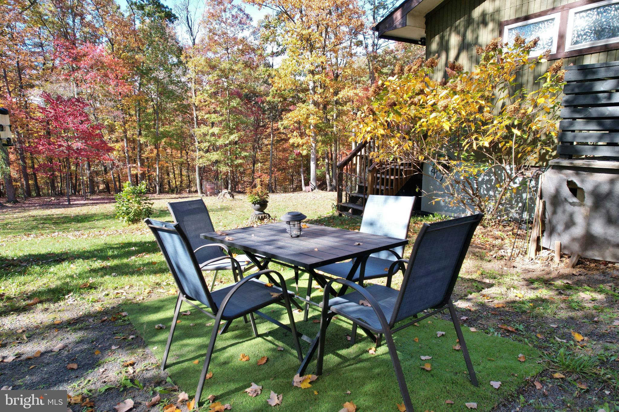 167 Holly Ridge Road Mount Jackson, VA 22842 - Photo 12 of 57