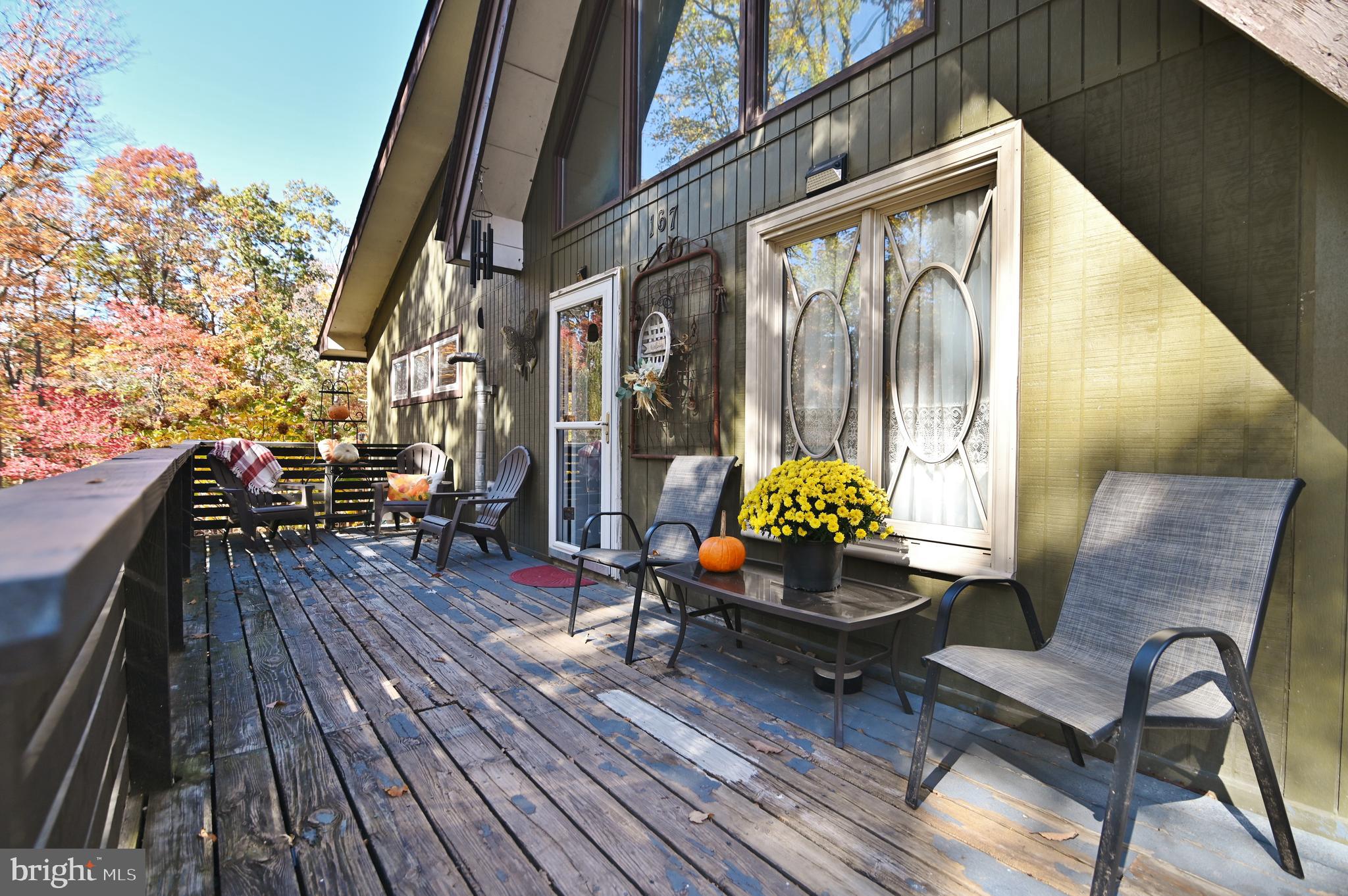 167 Holly Ridge Road Mount Jackson, VA 22842 - Photo 13 of 57