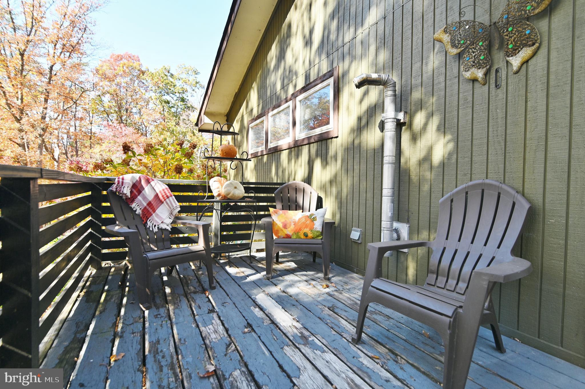 167 Holly Ridge Road Mount Jackson, VA 22842 - Photo 14 of 57