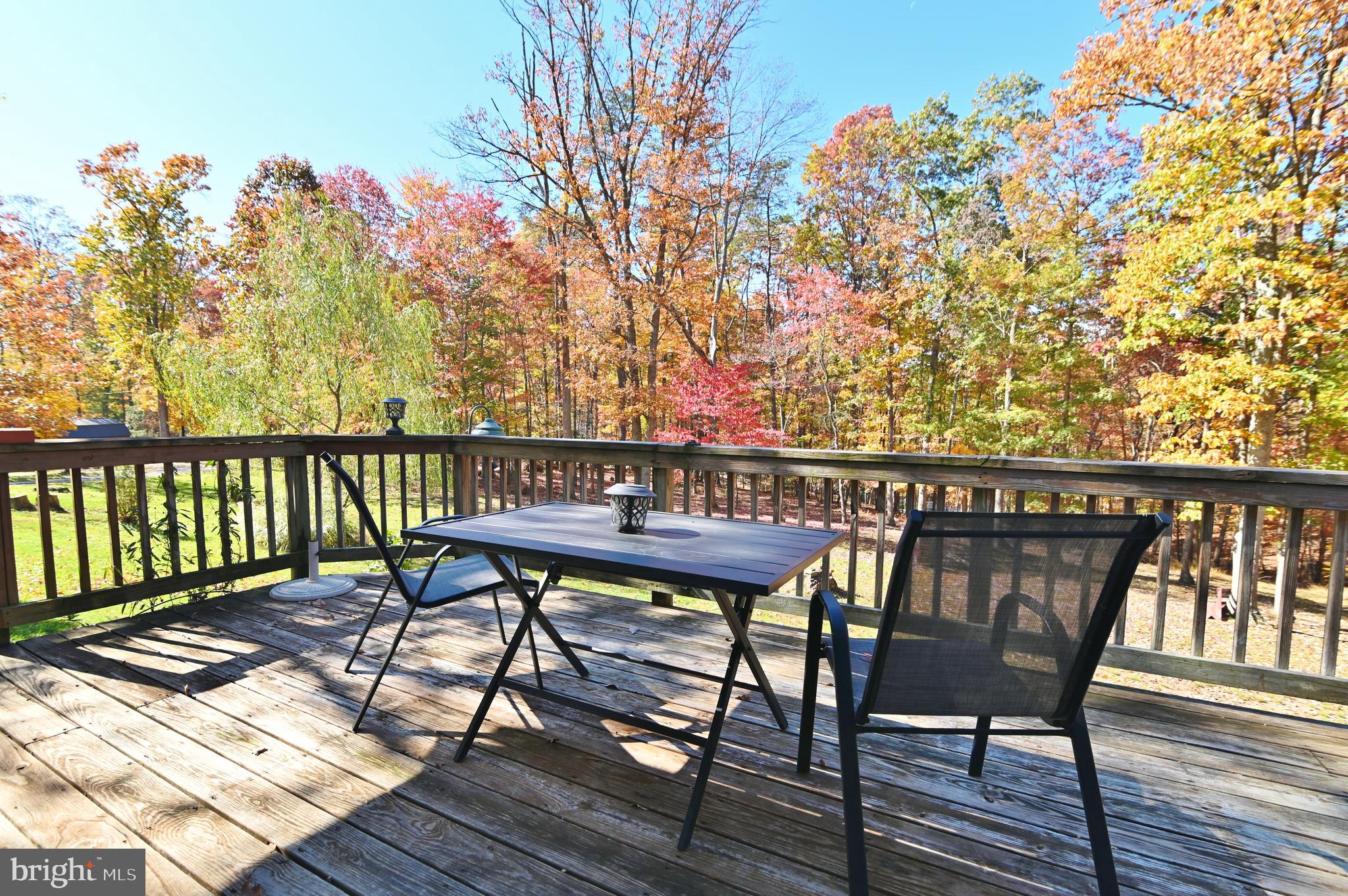 167 Holly Ridge Road Mount Jackson, VA 22842 - Photo 15 of 57