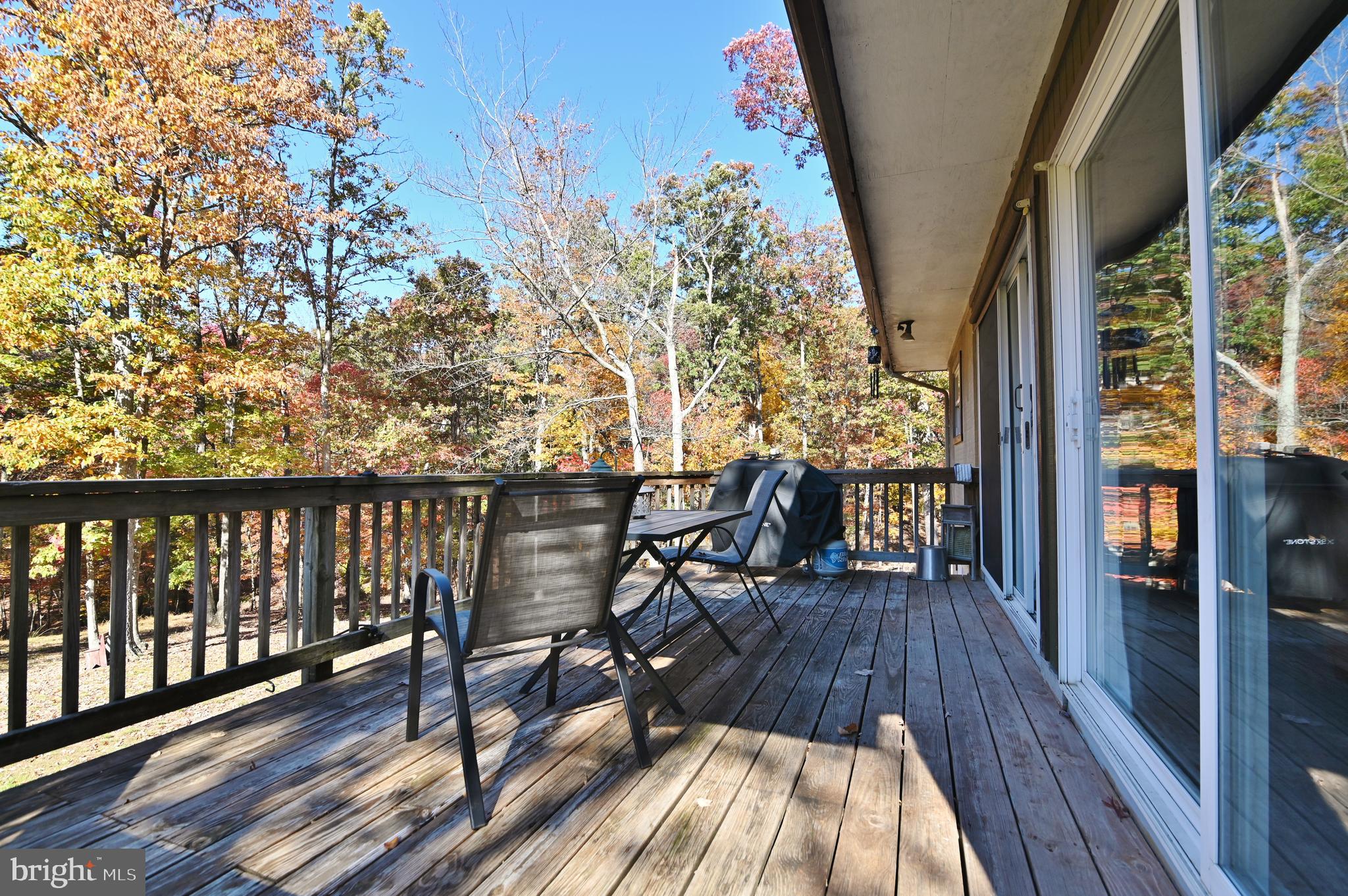 167 Holly Ridge Road Mount Jackson, VA 22842 - Photo 16 of 57