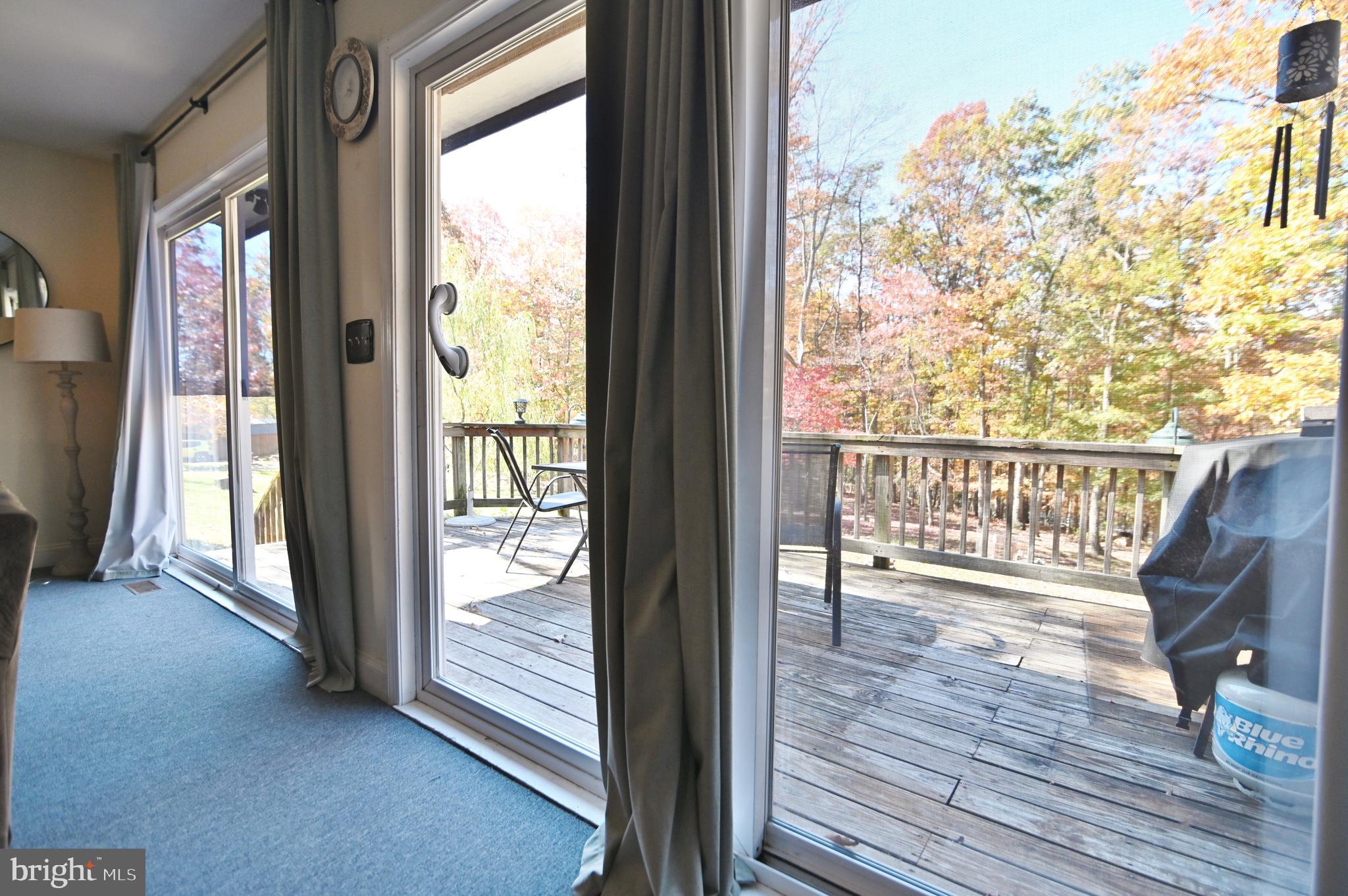 167 Holly Ridge Road Mount Jackson, VA 22842 - Photo 18 of 57