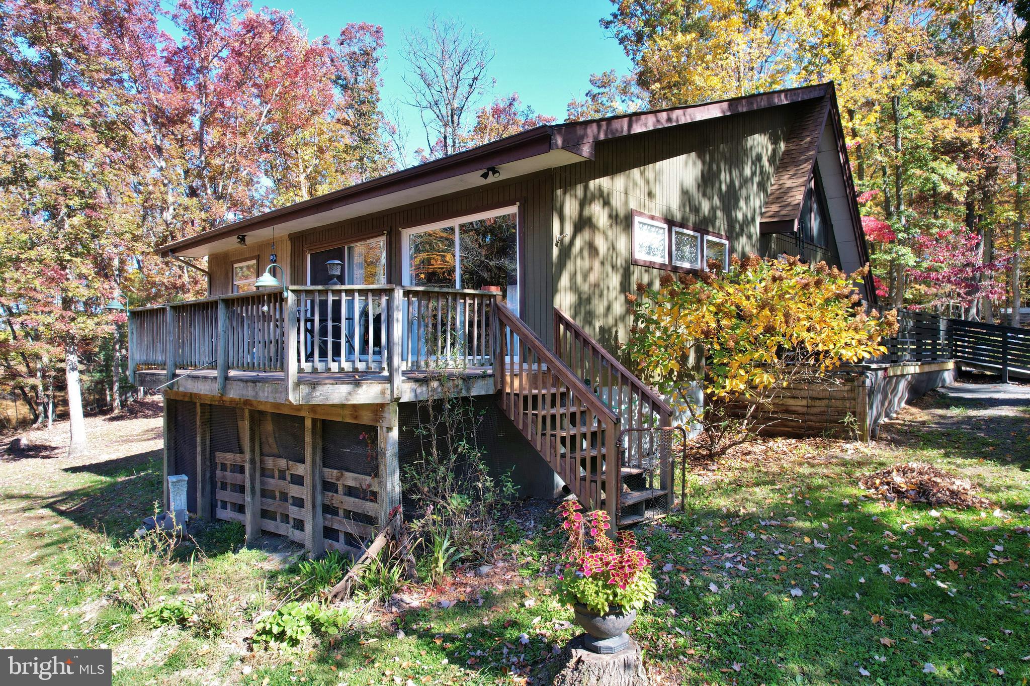 167 Holly Ridge Road Mount Jackson, VA 22842 - Photo 3 of 57