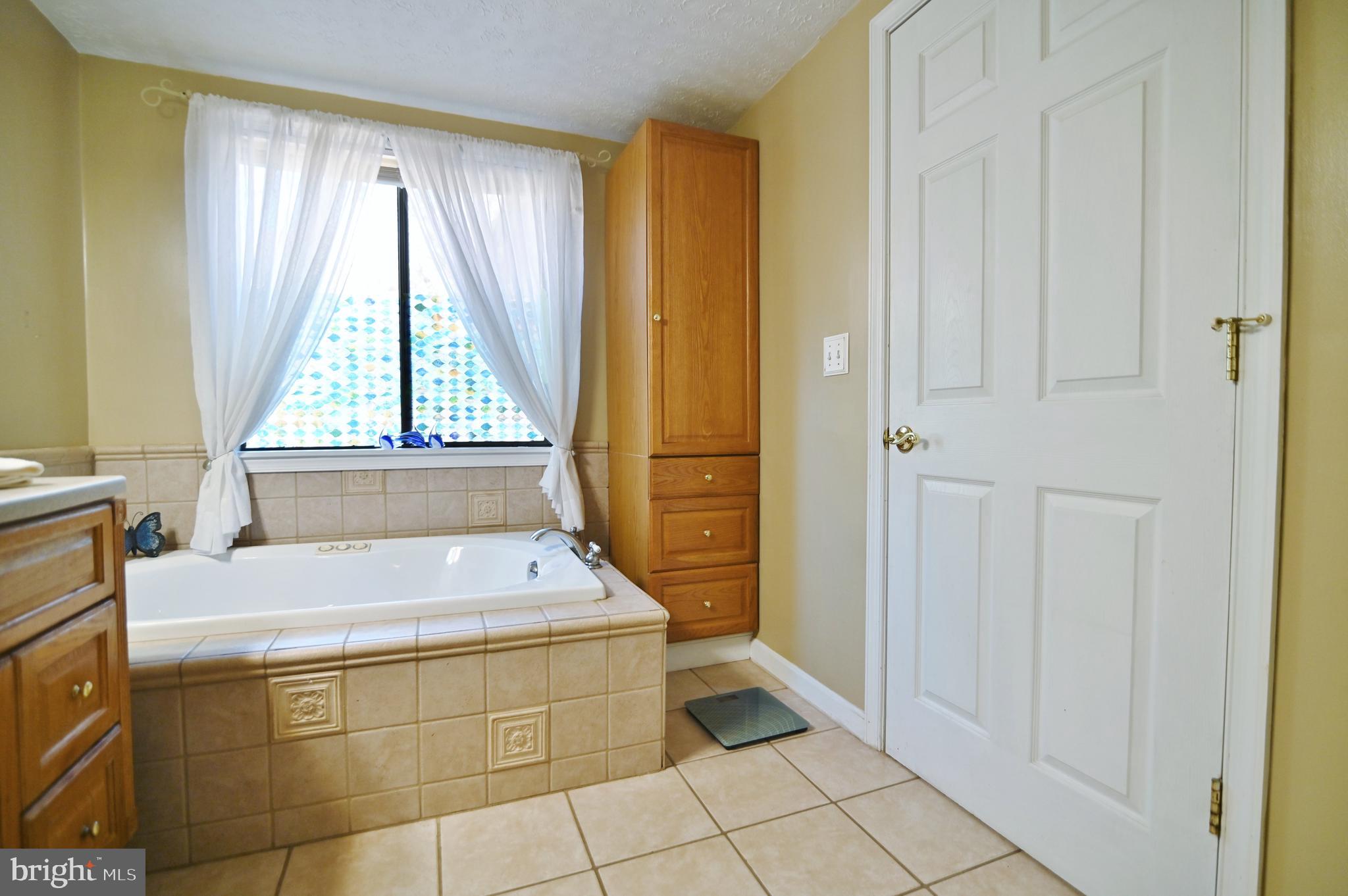 167 Holly Ridge Road Mount Jackson, VA 22842 - Photo 33 of 57