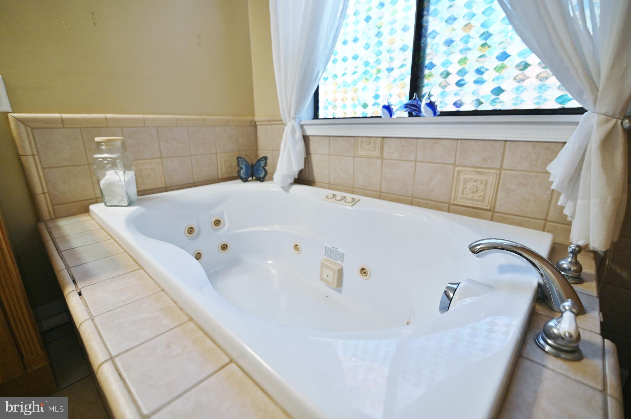 167 Holly Ridge Road Mount Jackson, VA 22842 - Photo 34 of 57