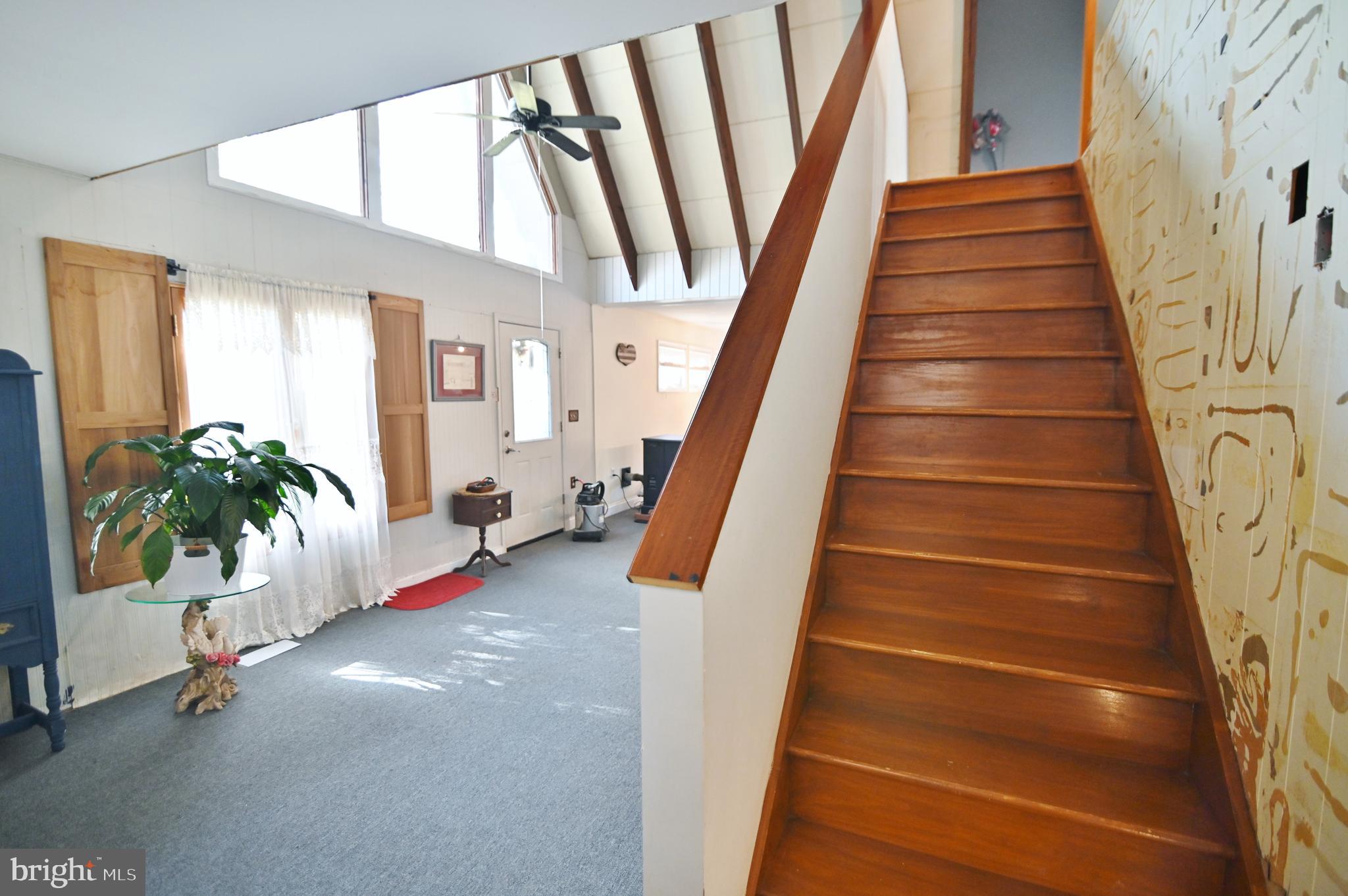 167 Holly Ridge Road Mount Jackson, VA 22842 - Photo 42 of 57