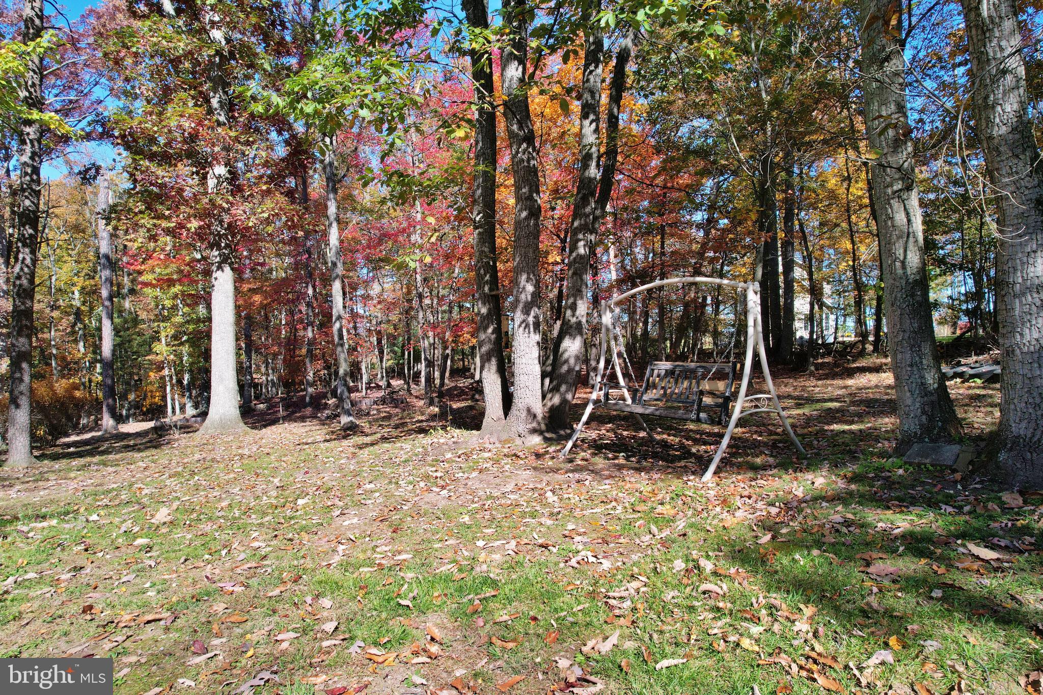 167 Holly Ridge Road Mount Jackson, VA 22842 - Photo 48 of 57