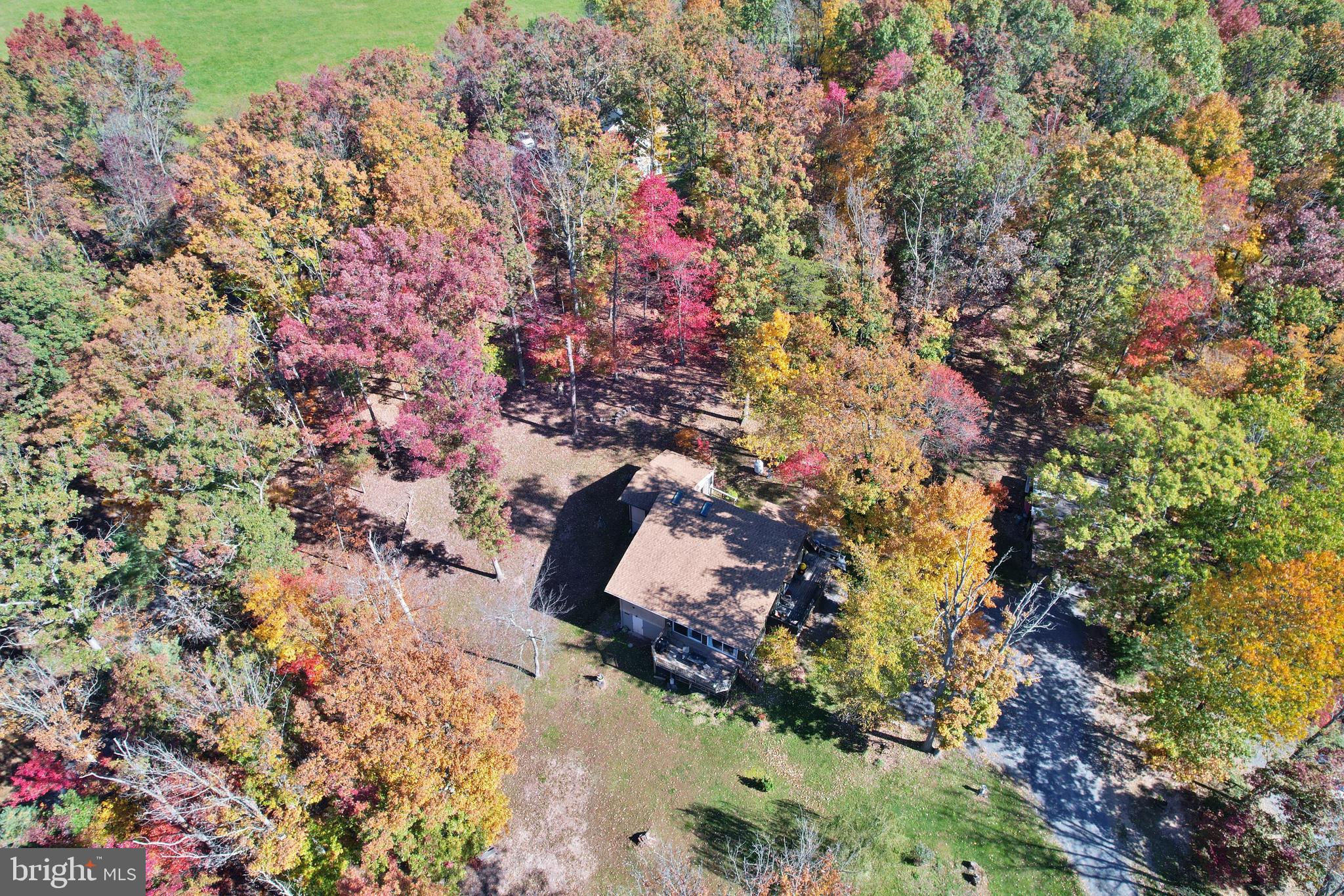 167 Holly Ridge Road Mount Jackson, VA 22842 - Photo 49 of 57