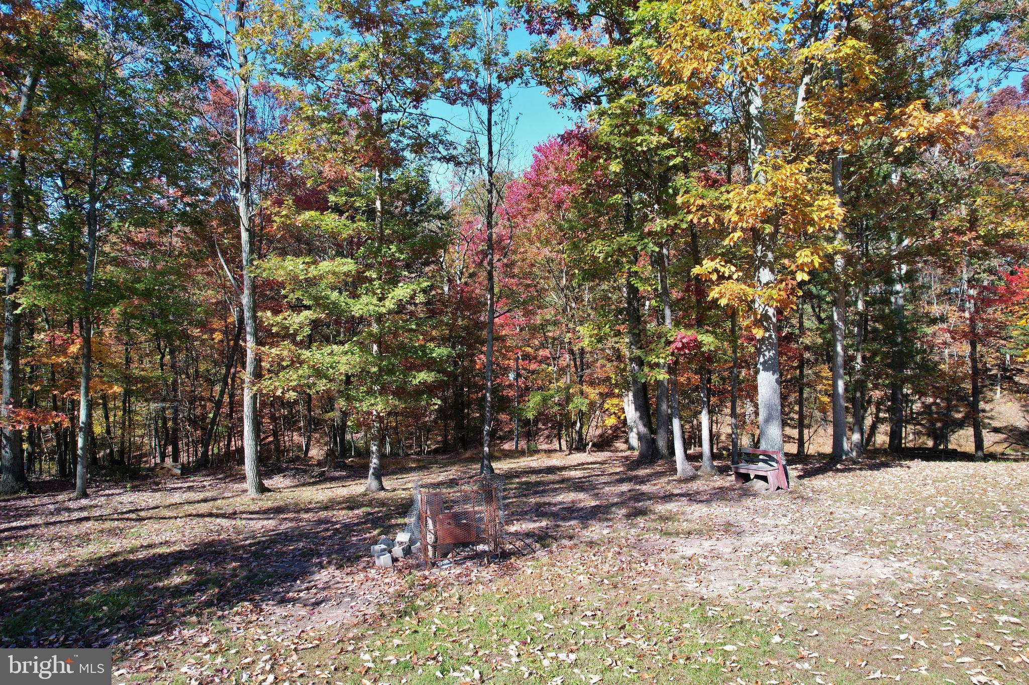 167 Holly Ridge Road Mount Jackson, VA 22842 - Photo 50 of 57