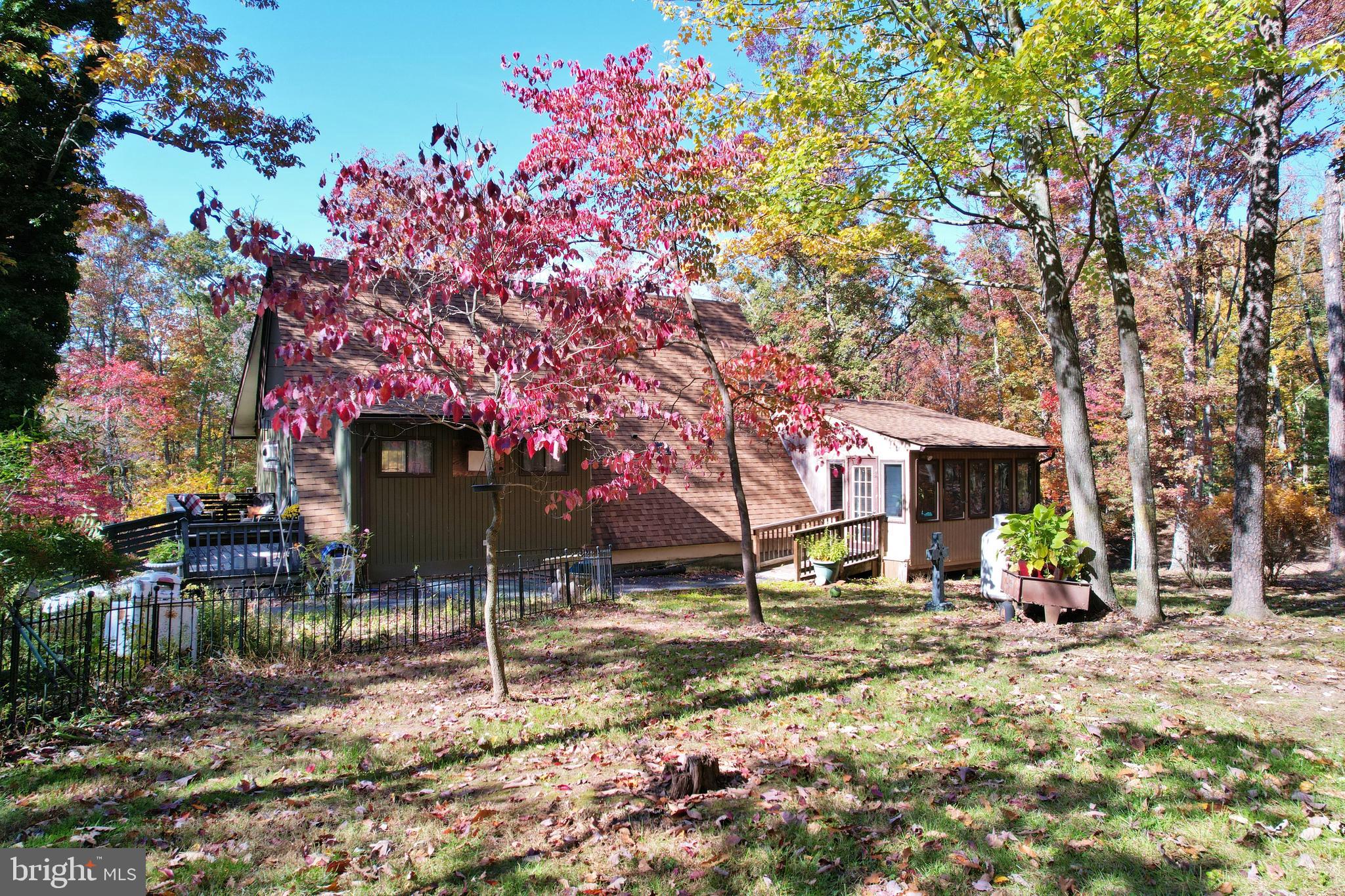 167 Holly Ridge Road Mount Jackson, VA 22842 - Photo 5 of 57