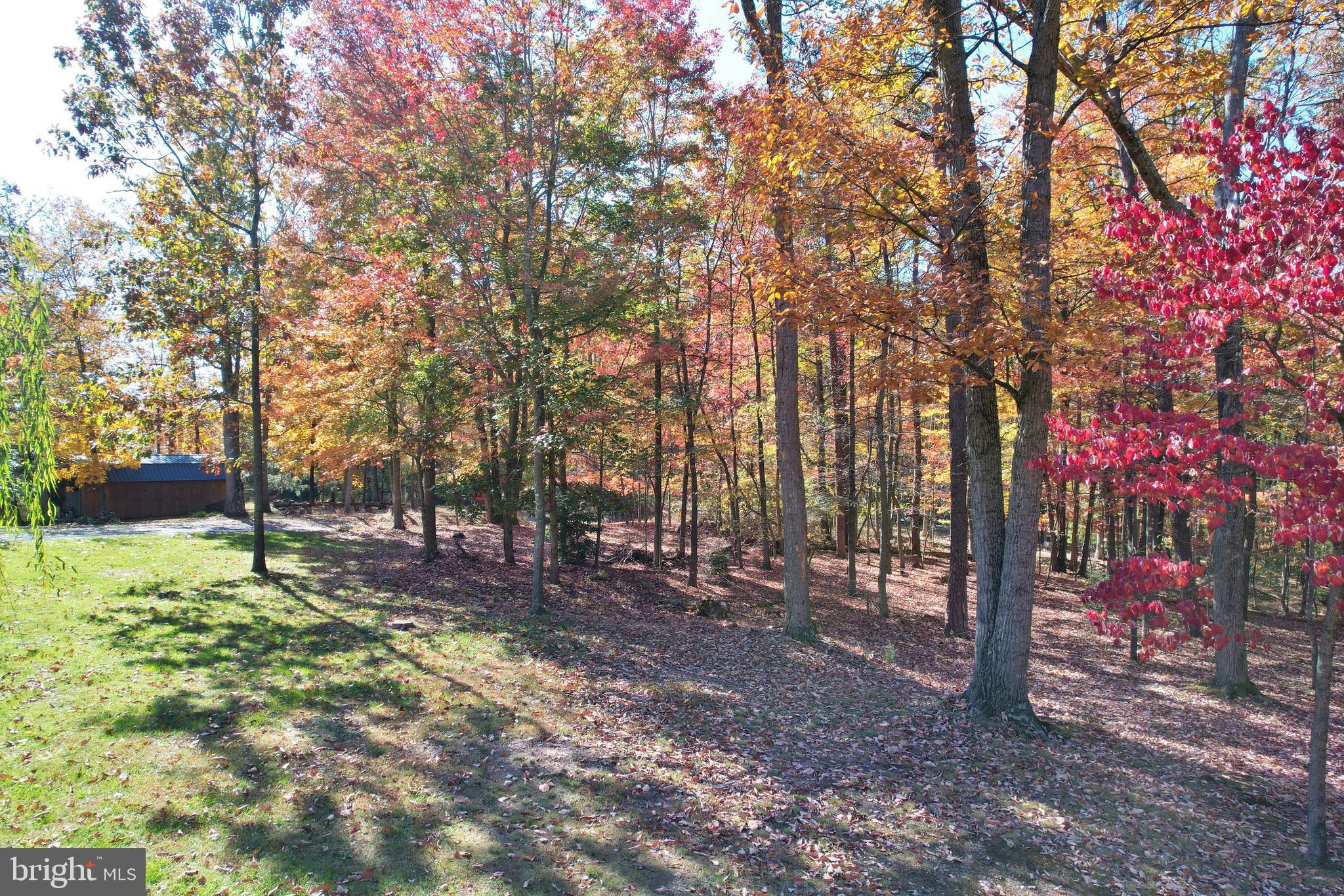 167 Holly Ridge Road Mount Jackson, VA 22842 - Photo 51 of 57