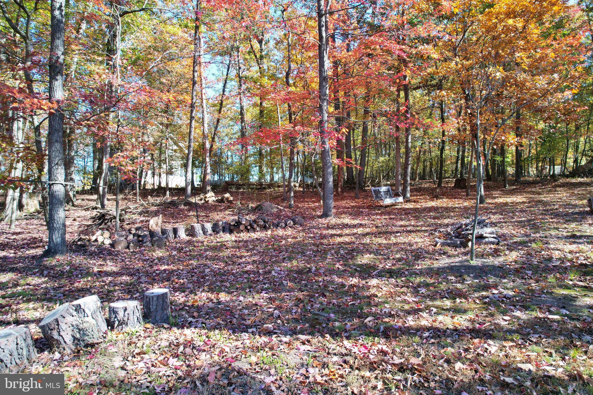 167 Holly Ridge Road Mount Jackson, VA 22842 - Photo 52 of 57