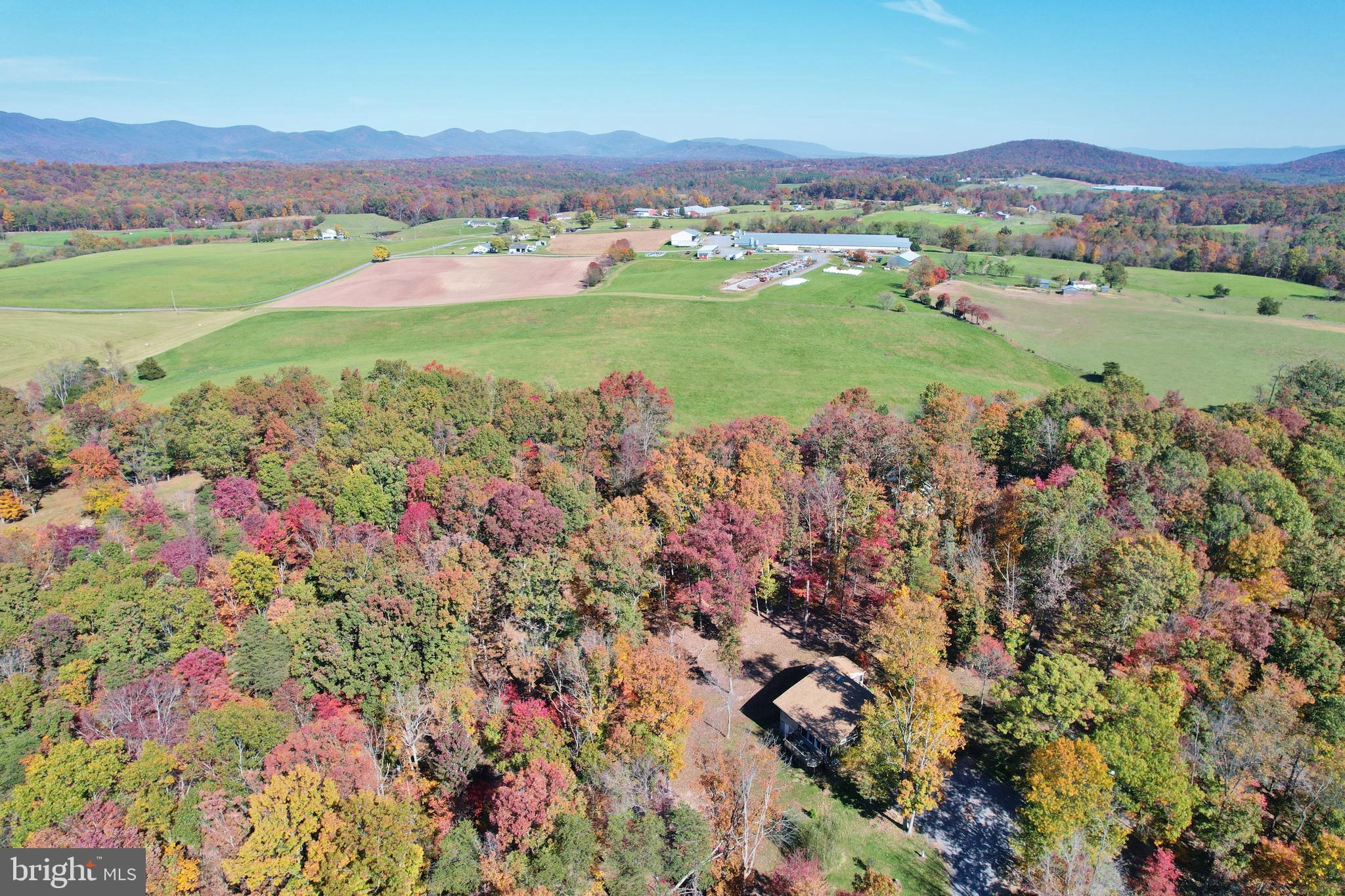 167 Holly Ridge Road Mount Jackson, VA 22842 - Photo 53 of 57