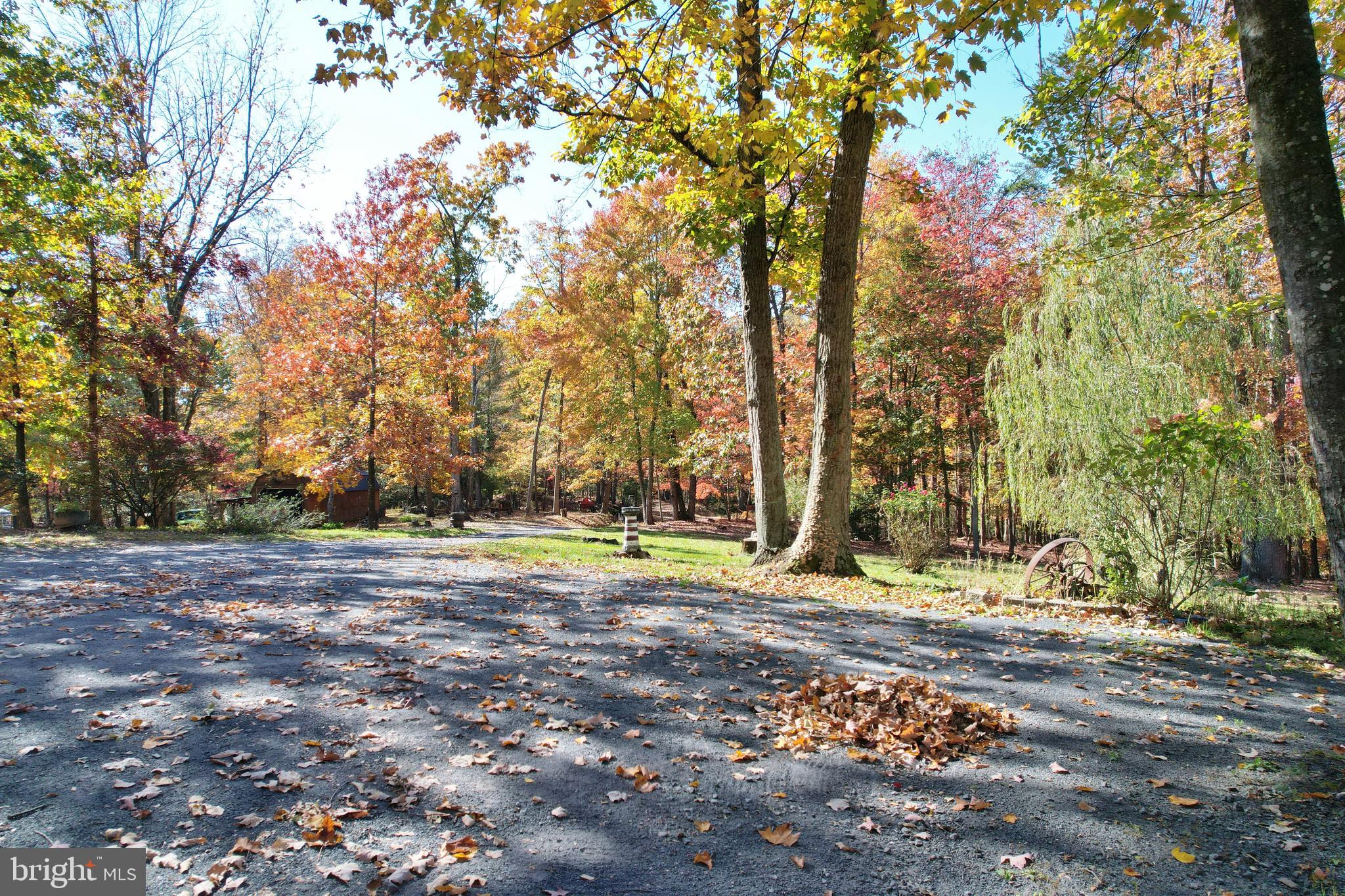 167 Holly Ridge Road Mount Jackson, VA 22842 - Photo 56 of 57