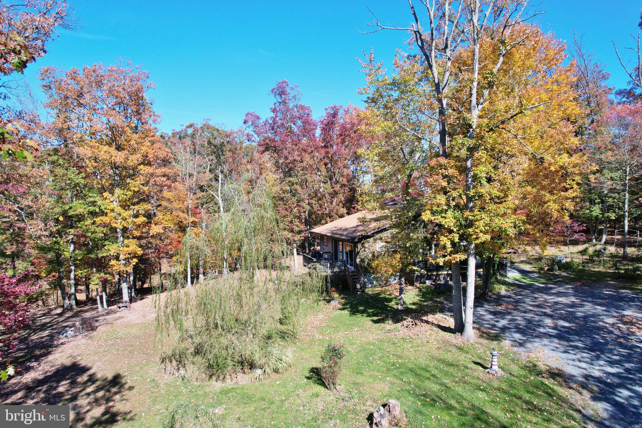 167 Holly Ridge Road Mount Jackson, VA 22842 - Photo 6 of 57