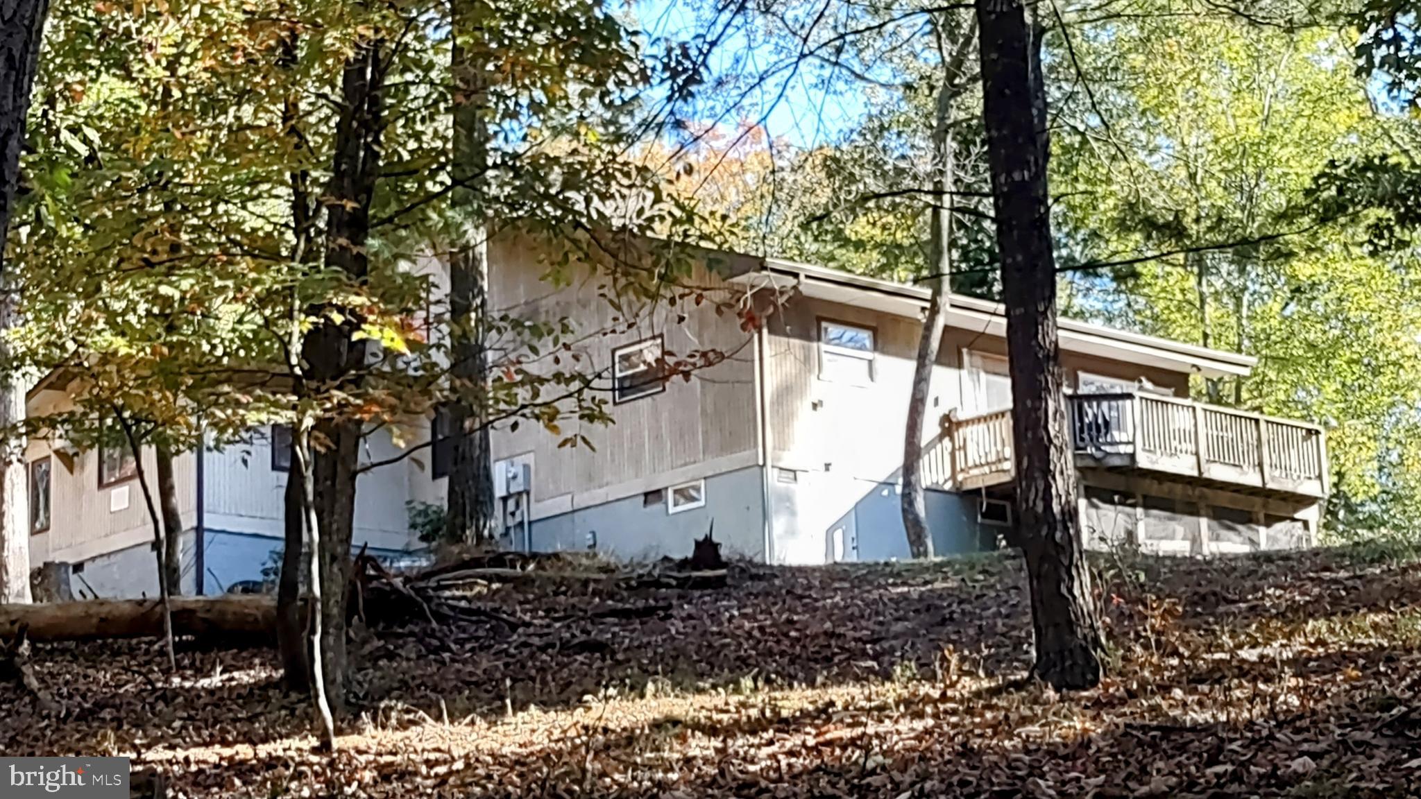 167 Holly Ridge Road Mount Jackson, VA 22842 - Photo 9 of 57