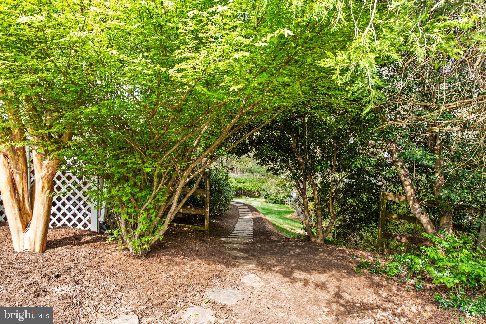 2821 Rifle Ridge Road Oakton, VA 22124 - Photo 56 of 56 Charming canopy of trees on side