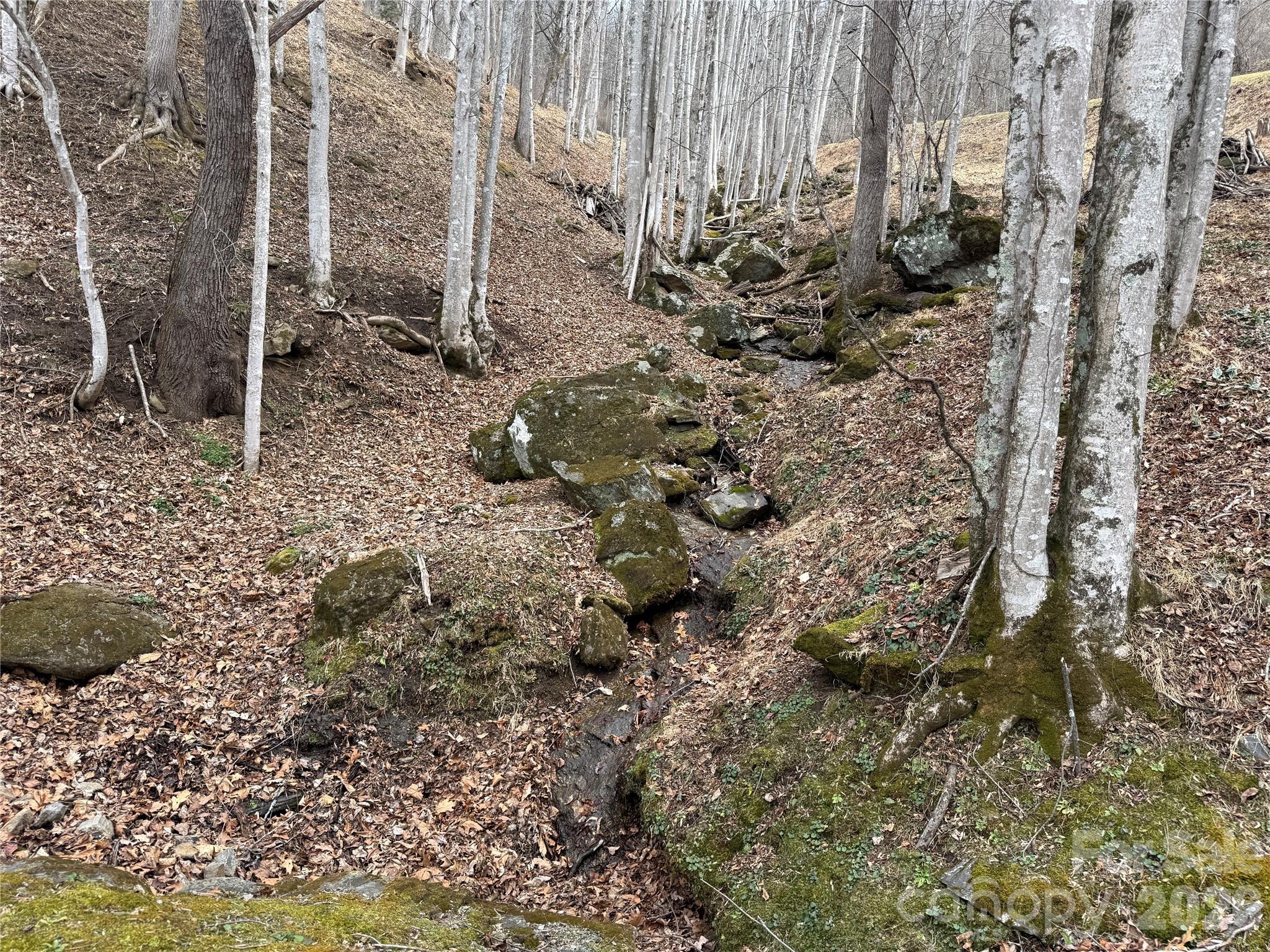 1975 Utah Mountain Road, Unit 19 Waynesville, NC 28785 - Photo 6 of 8 a view of a backyard of the house