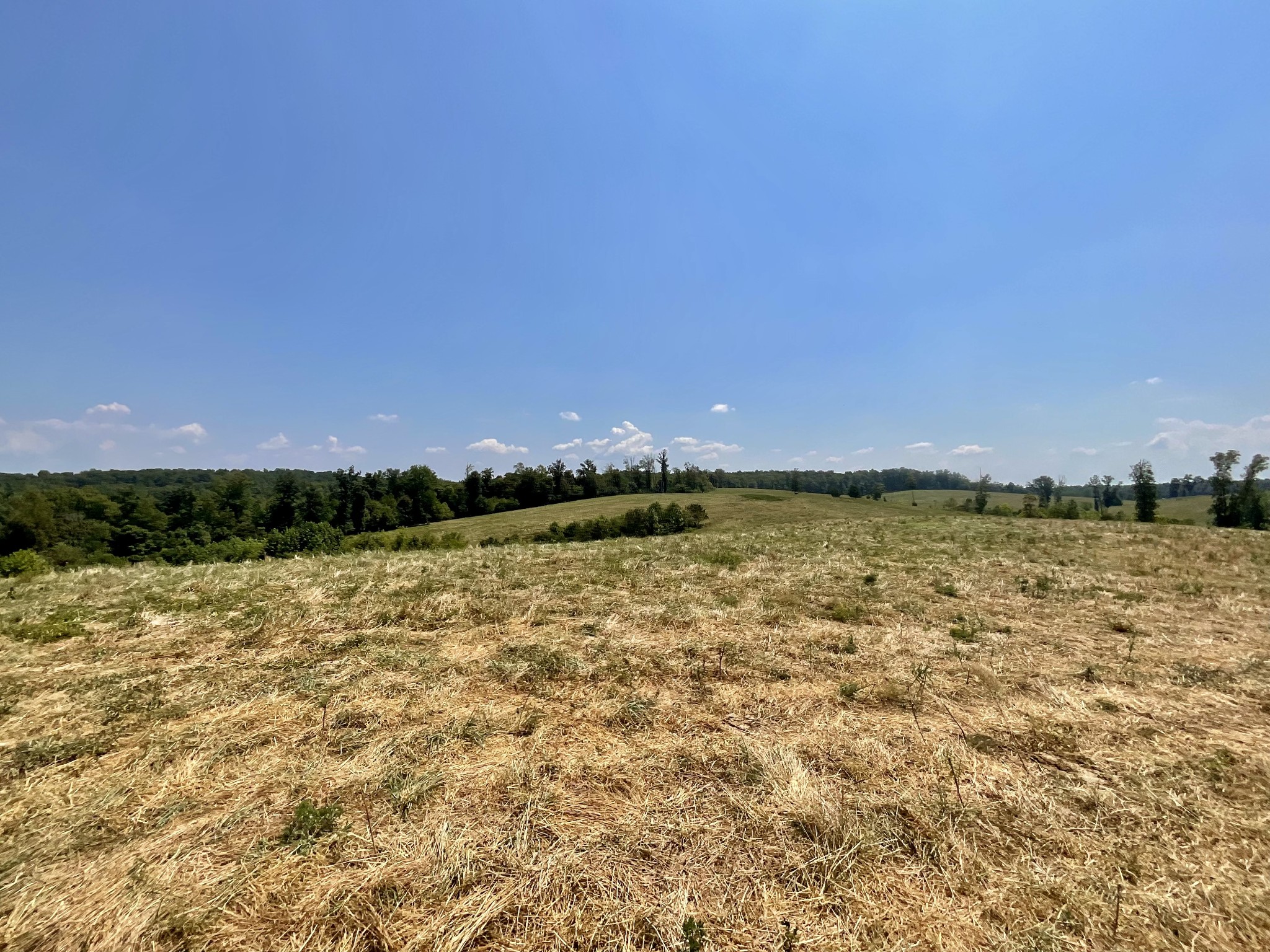 9 Brigham Branch Road Erin, TN 37061 - Photo 28 of 71