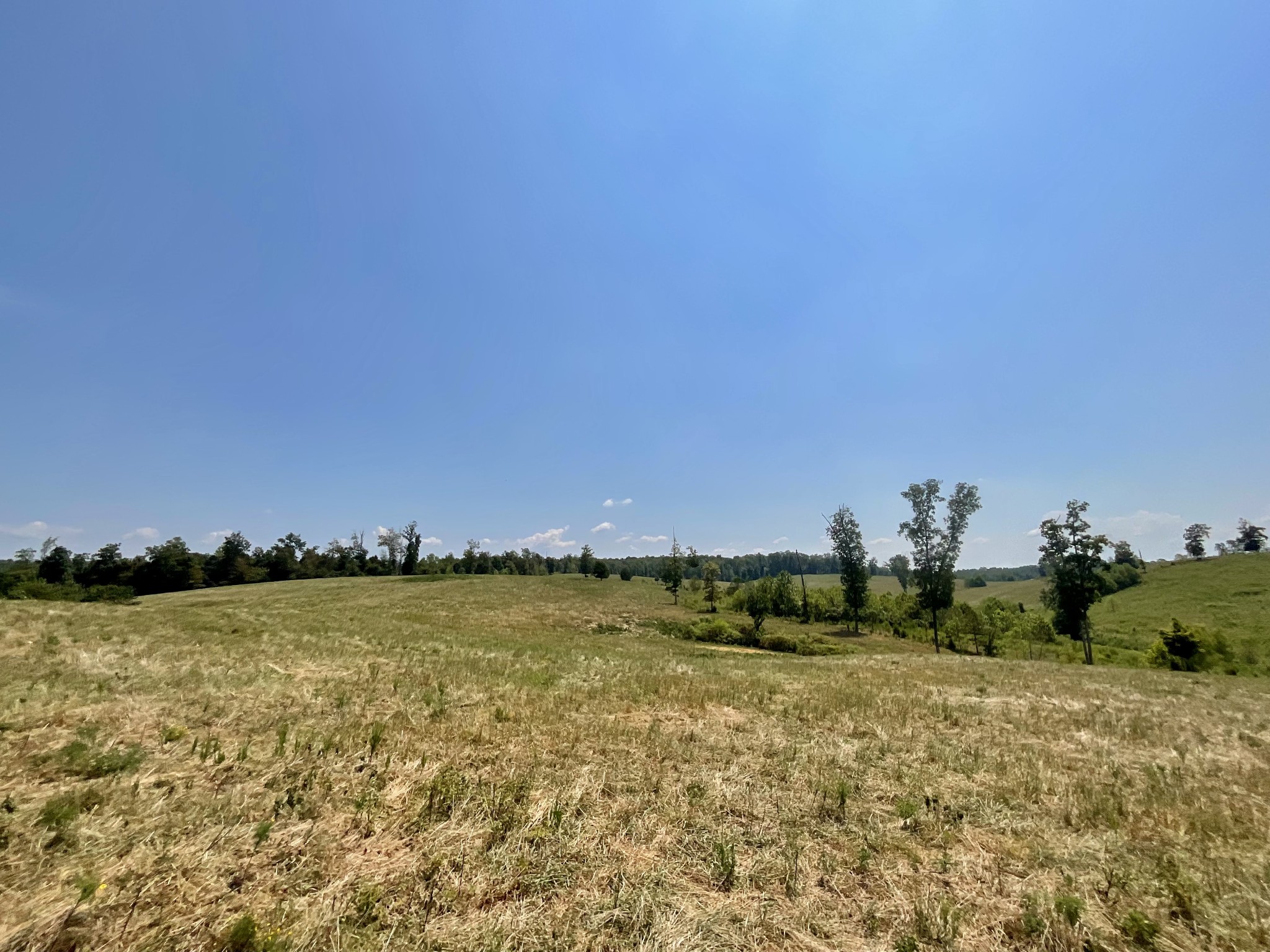 9 Brigham Branch Road Erin, TN 37061 - Photo 39 of 71 a view of a lake with a city