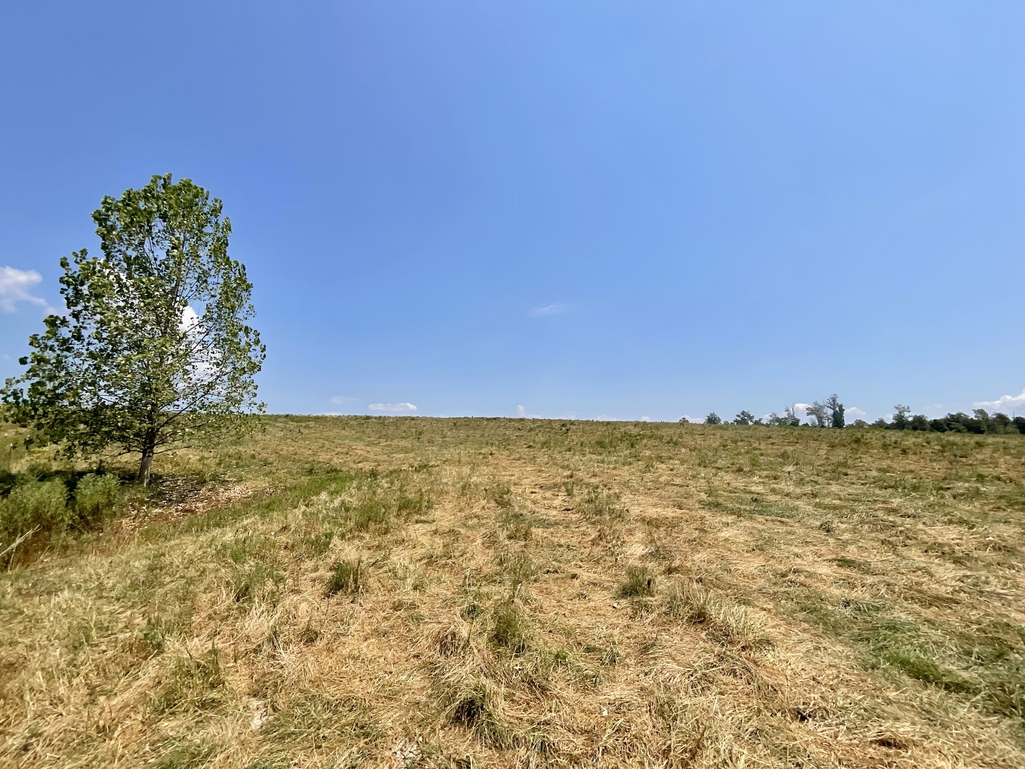 9 Brigham Branch Road Erin, TN 37061 - Photo 41 of 71