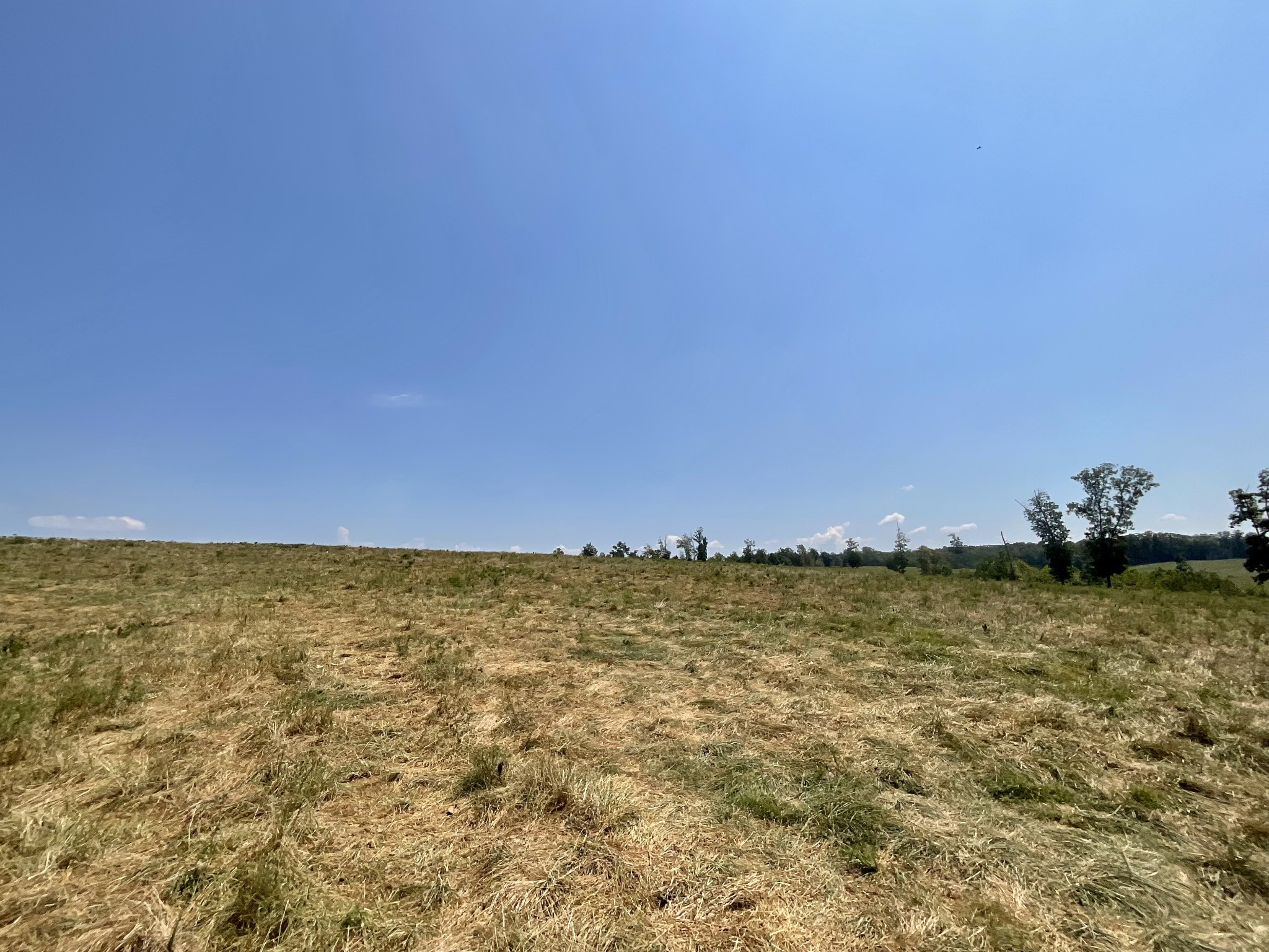 9 Brigham Branch Road Erin, TN 37061 - Photo 42 of 71 a view of an ocean beach