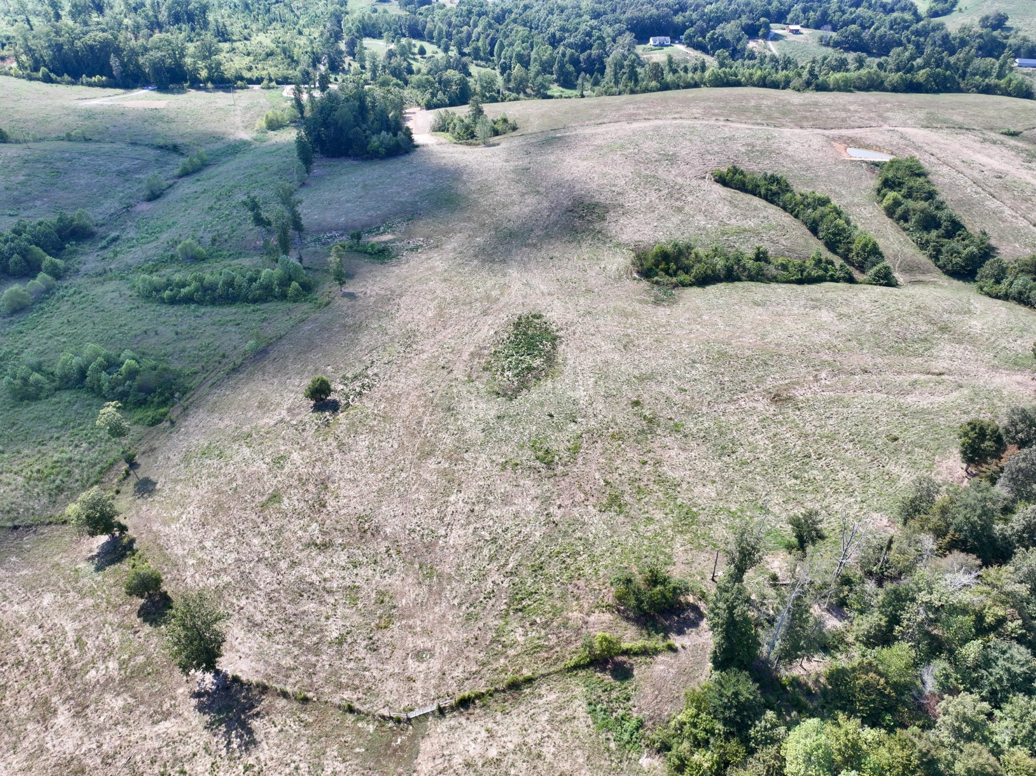 9 Brigham Branch Road Erin, TN 37061 - Photo 44 of 71 a view of a road with a yard