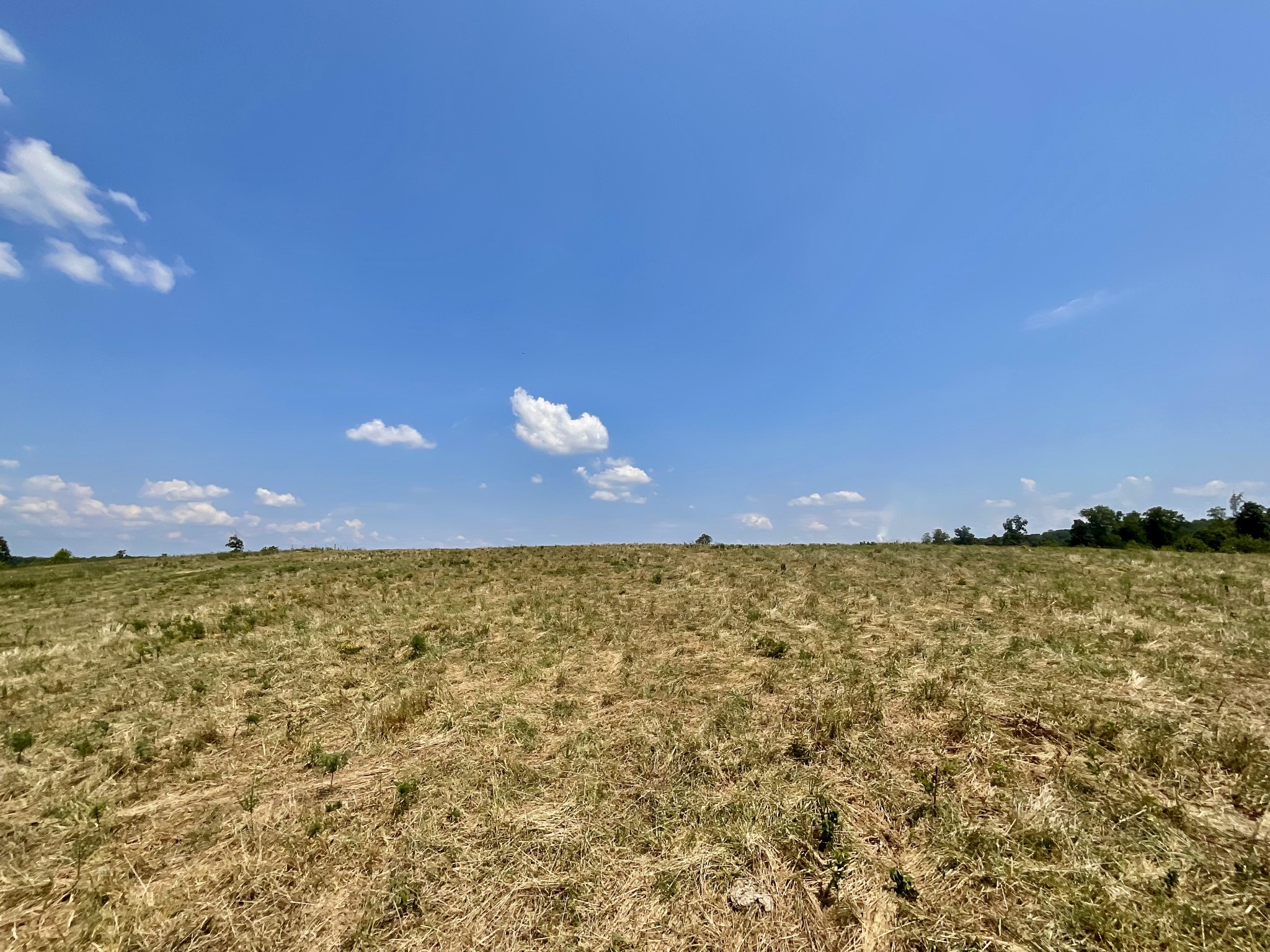 9 Brigham Branch Road Erin, TN 37061 - Photo 48 of 71