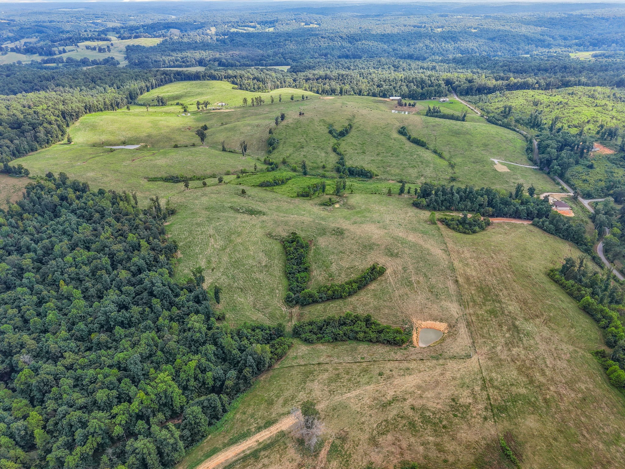 9 Brigham Branch Road Erin, TN 37061 - Photo 50 of 71 an aerial view of a houses with a yard
