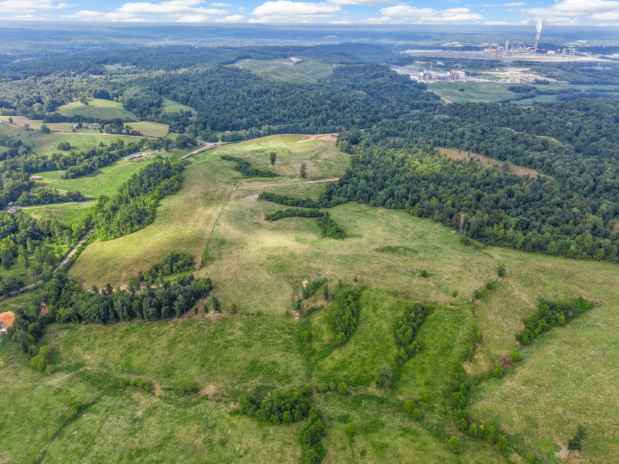 9 Brigham Branch Road Erin, TN 37061 - Photo 5 of 71 a view of a big yard with lots of green space