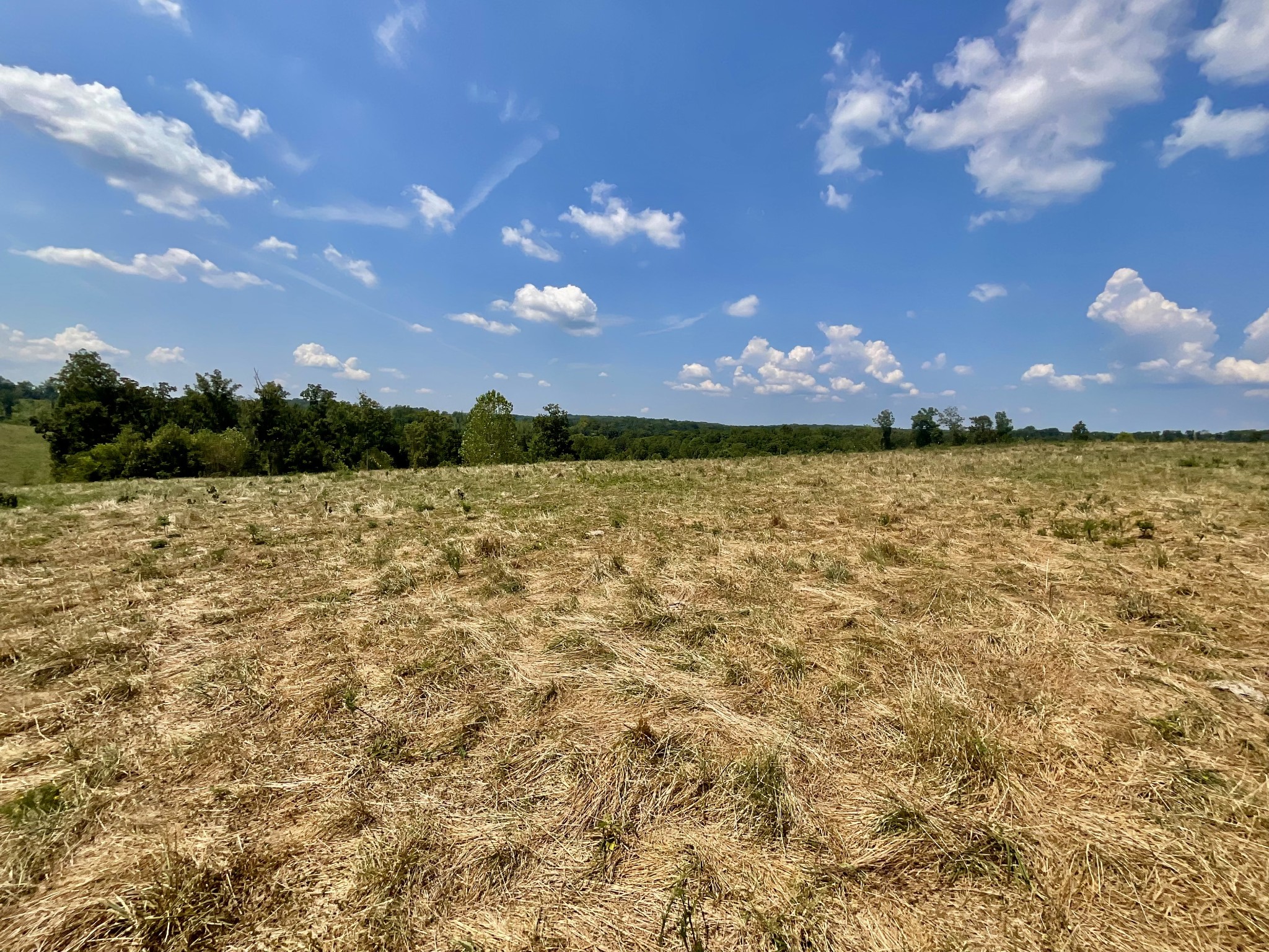 9 Brigham Branch Road Erin, TN 37061 - Photo 54 of 71 a view of a lake