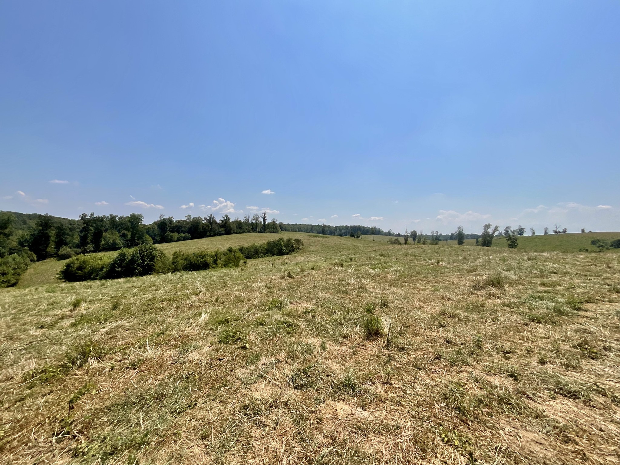 9 Brigham Branch Road Erin, TN 37061 - Photo 55 of 71 a view of a lake view