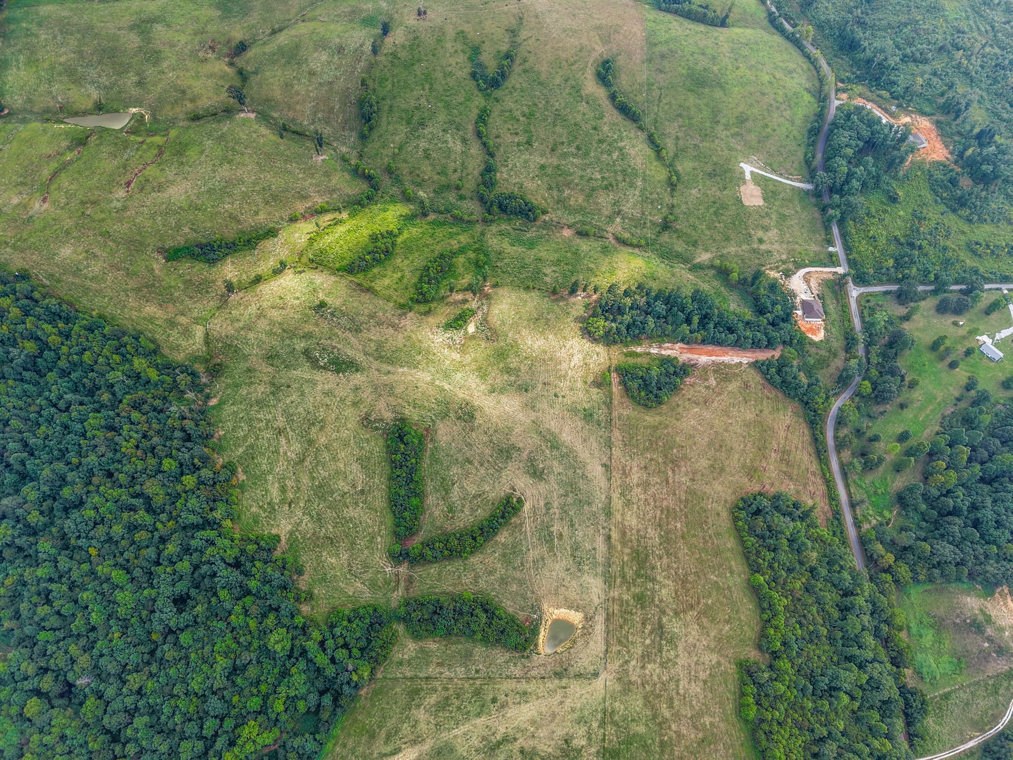 9 Brigham Branch Road Erin, TN 37061 - Photo 60 of 71 an aerial view of a houses with a yard