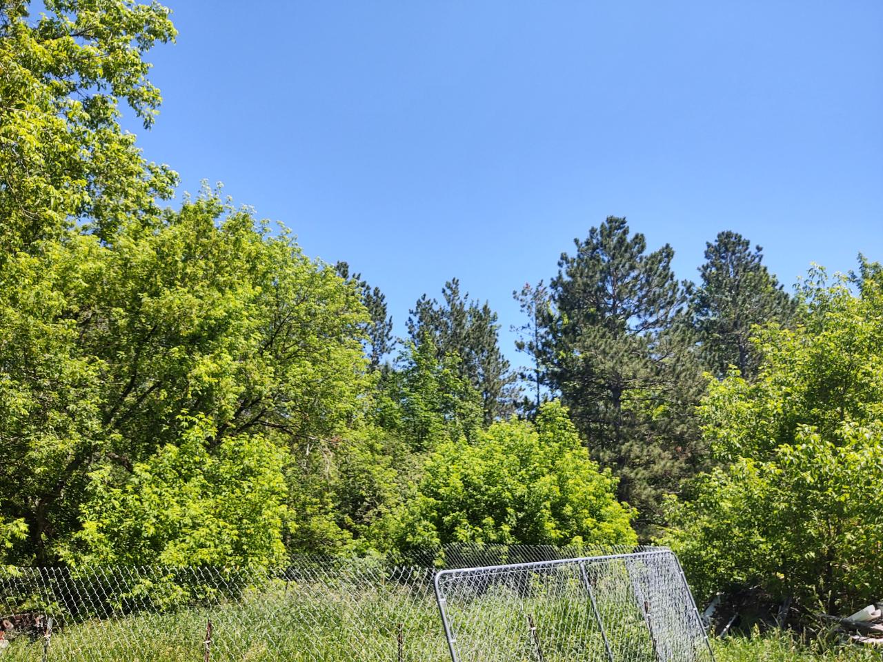 39534 Dyrness Road High Bridge, WI 54846 - Photo 12 of 13 Gallery Image 12
