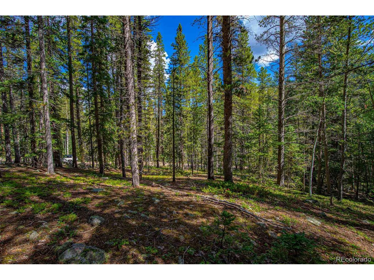 3 Ridge View Trail Idaho Springs, CO 80452 - Photo 5 of 9 Gently sloped corner lot
