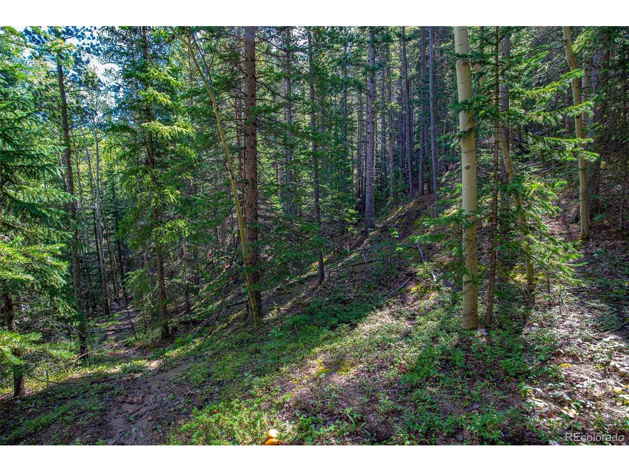 3 Ridge View Trail Idaho Springs, CO 80452 - Photo 6 of 9 Beautiful aspens and pines fill this lot!