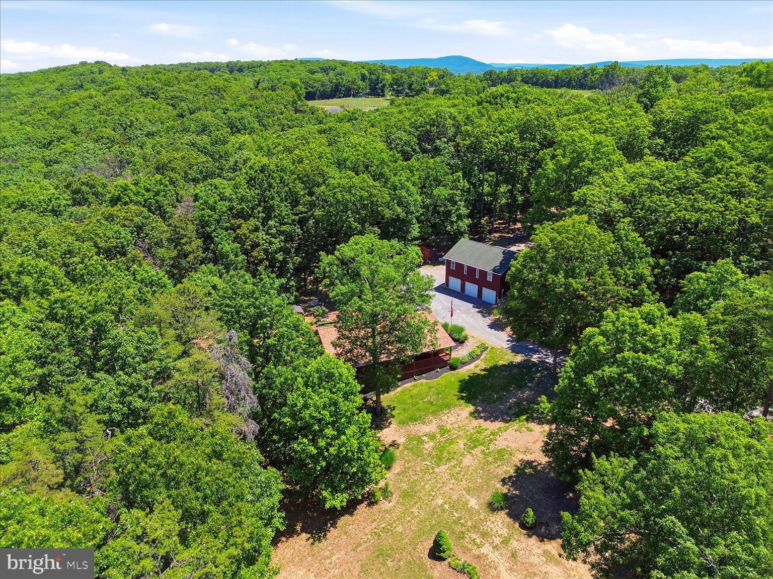 323 South Timber Ridge Road Cross Junction, VA 22625 - Photo 98 of 109 Secluded retreat amidst lush greenery.