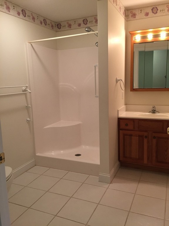 8 Autumn Woods Drive, Unit 8 Rutland, MA 01543 - Photo 10 of 16 a bathroom with a shower and a sink