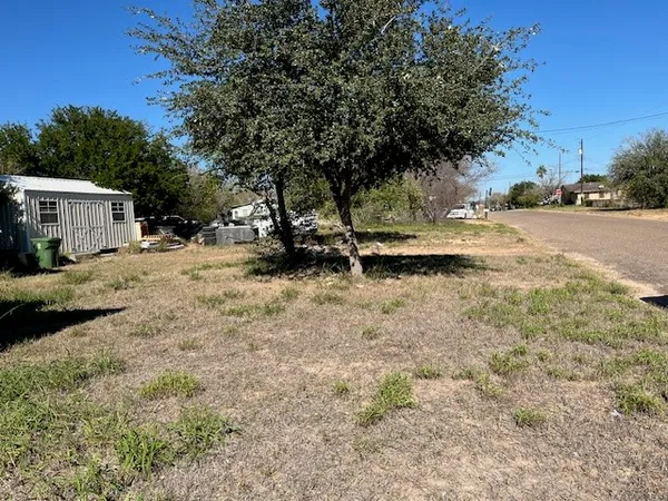 a view of a yard with a tree