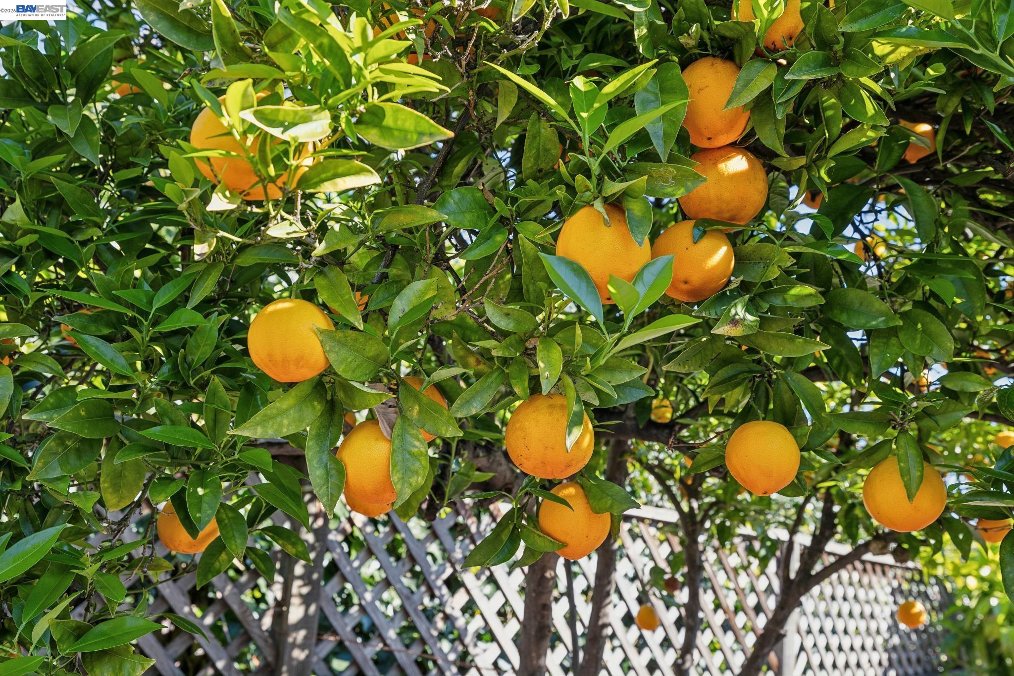 23719 Nevada Road Hayward, CA 94541 - Photo 57 of 59