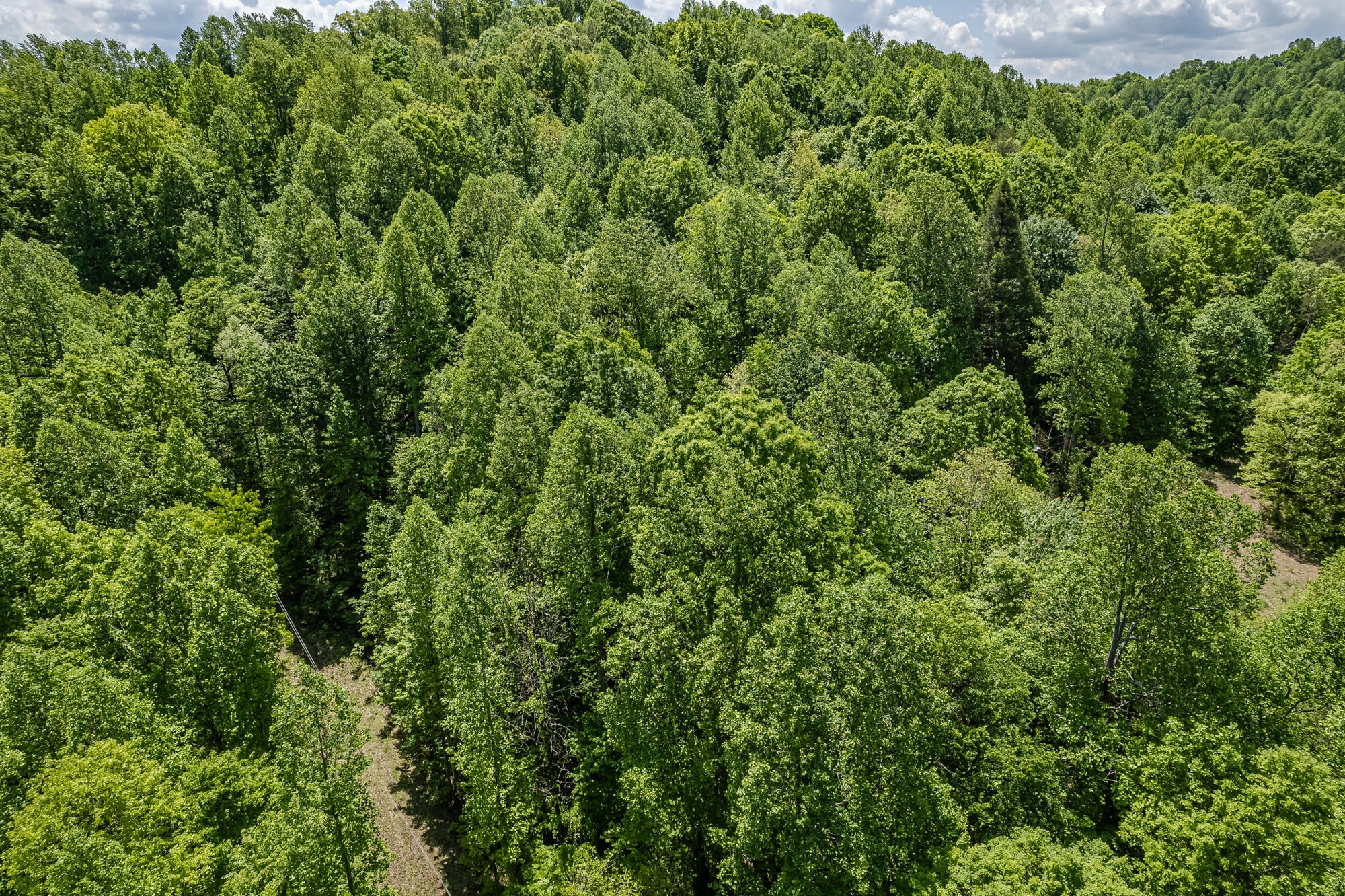 562 Griffith Branch Road Madisonville, TN 37354 - Photo 1 of 14 Gallery Image 1