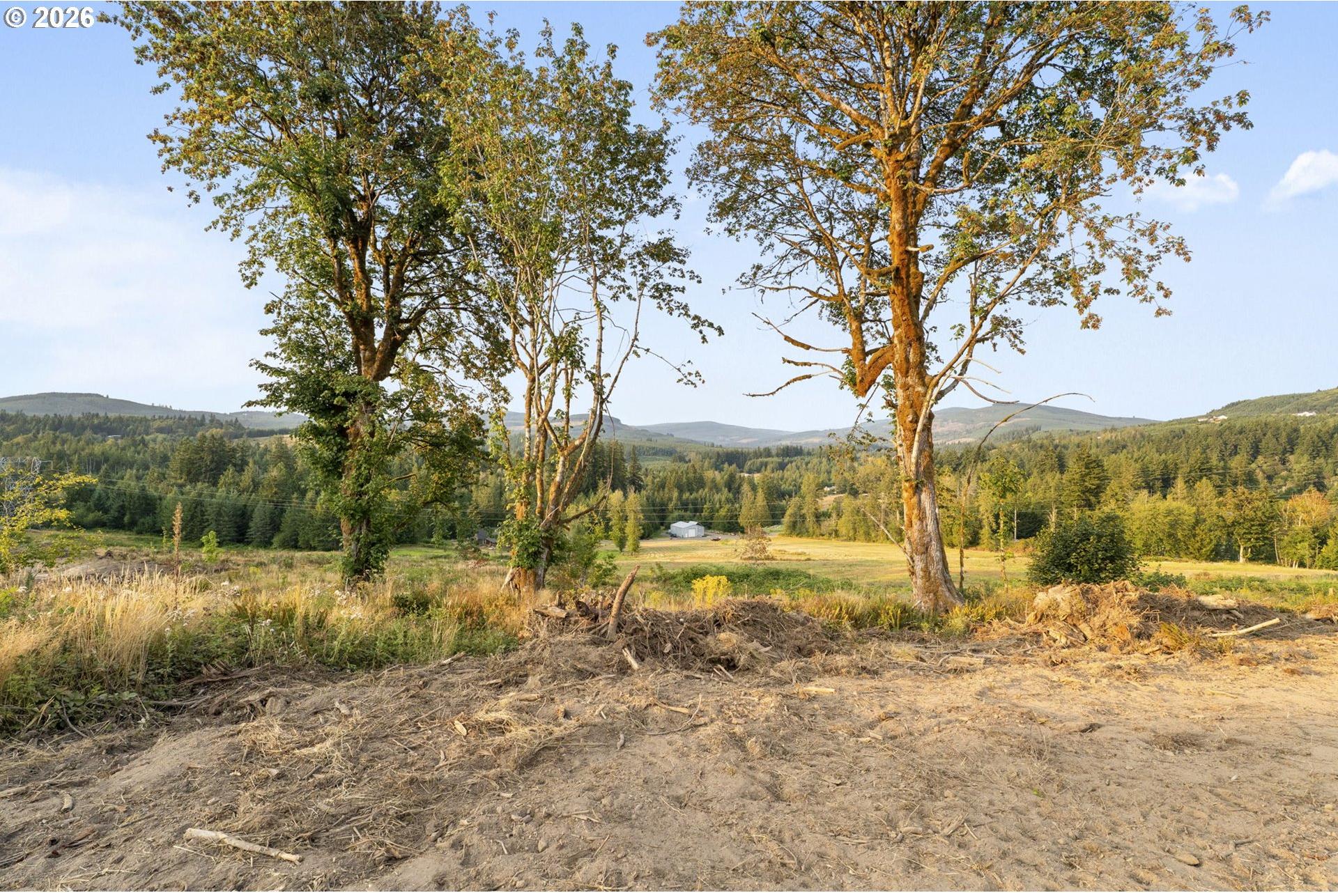 391 Brook Valley Road Kelso, WA 98626 - Photo 12 of 18 Home Site